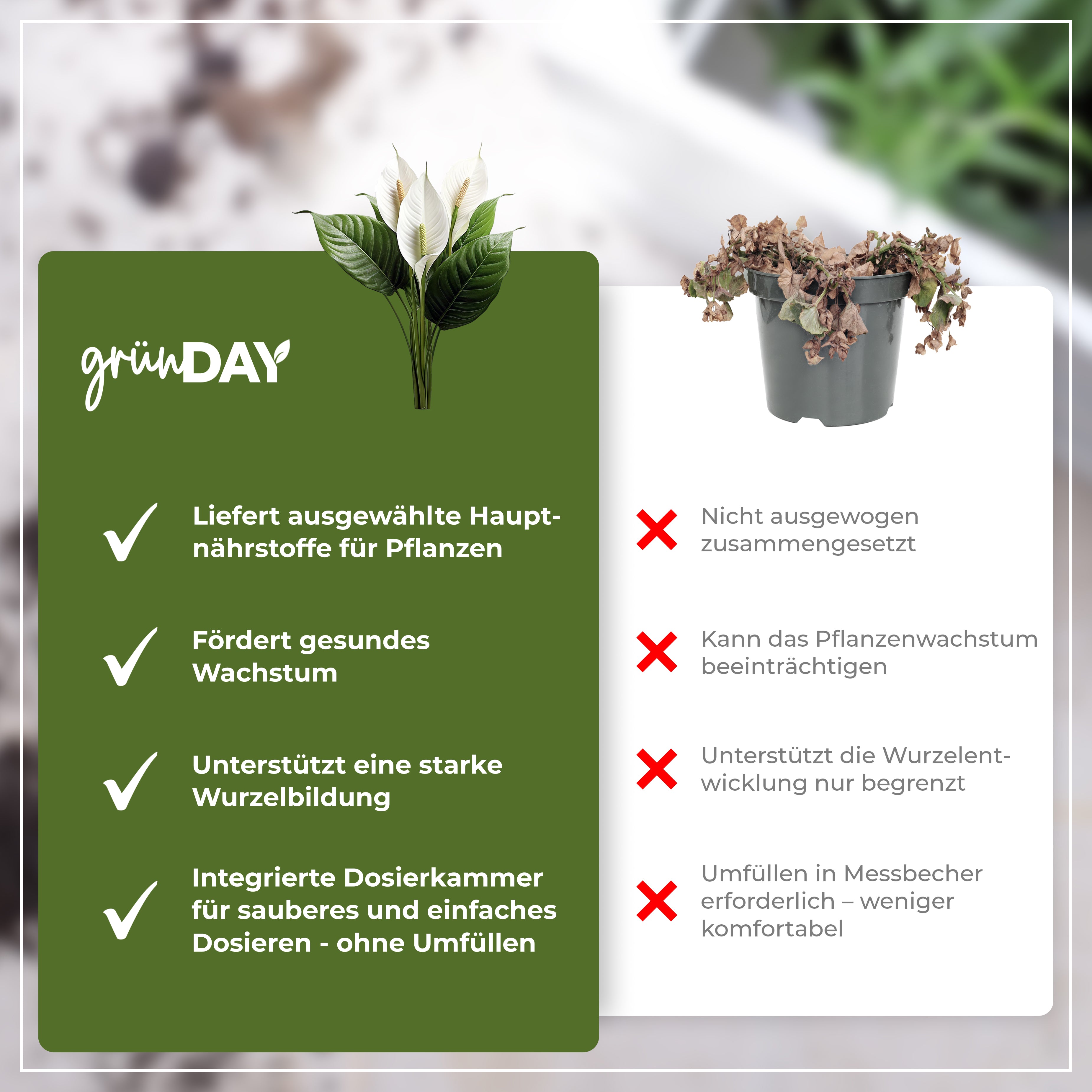 Gründay Einblatt Dünger – Produktansicht 6