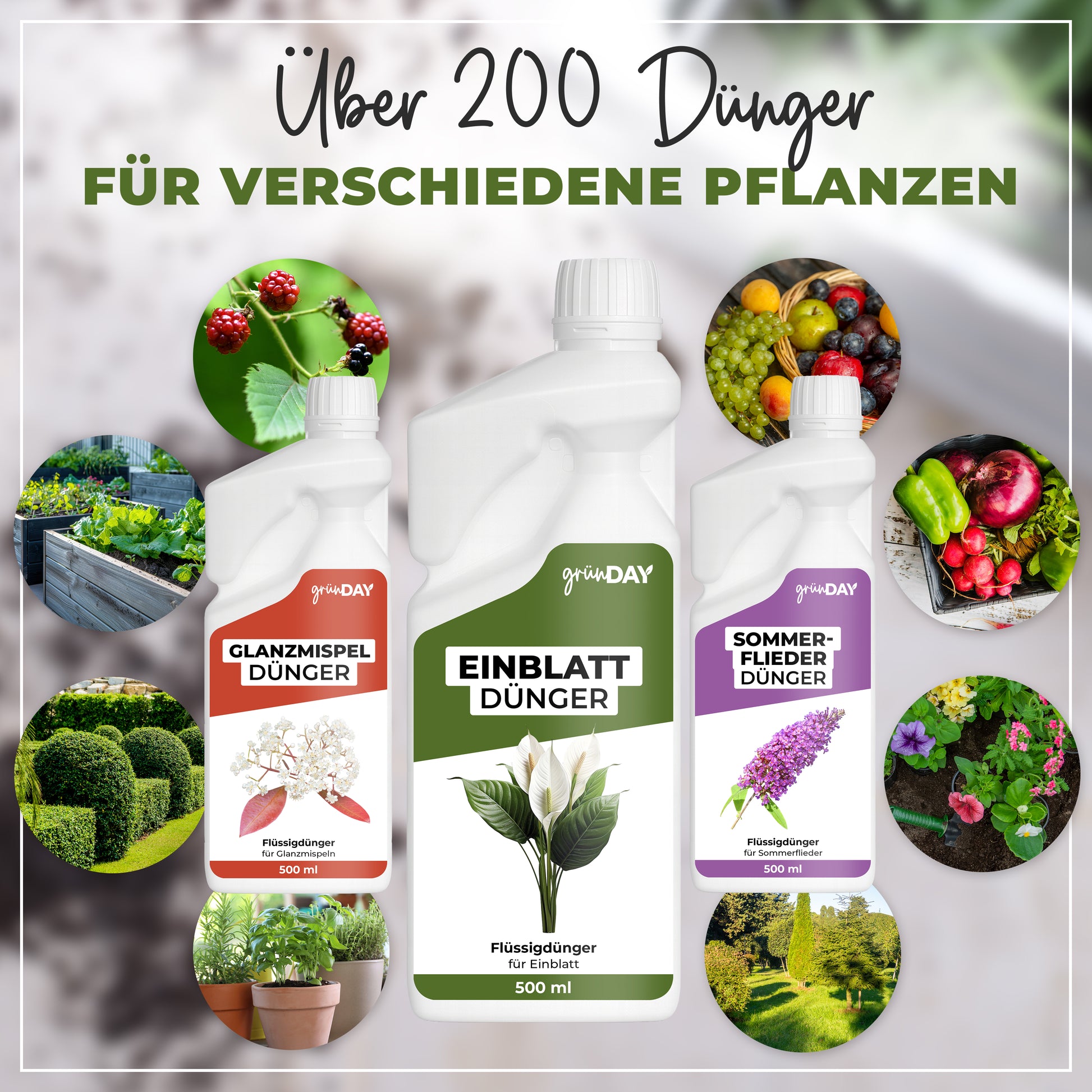 Gründay Einblatt Dünger – Produktansicht 7