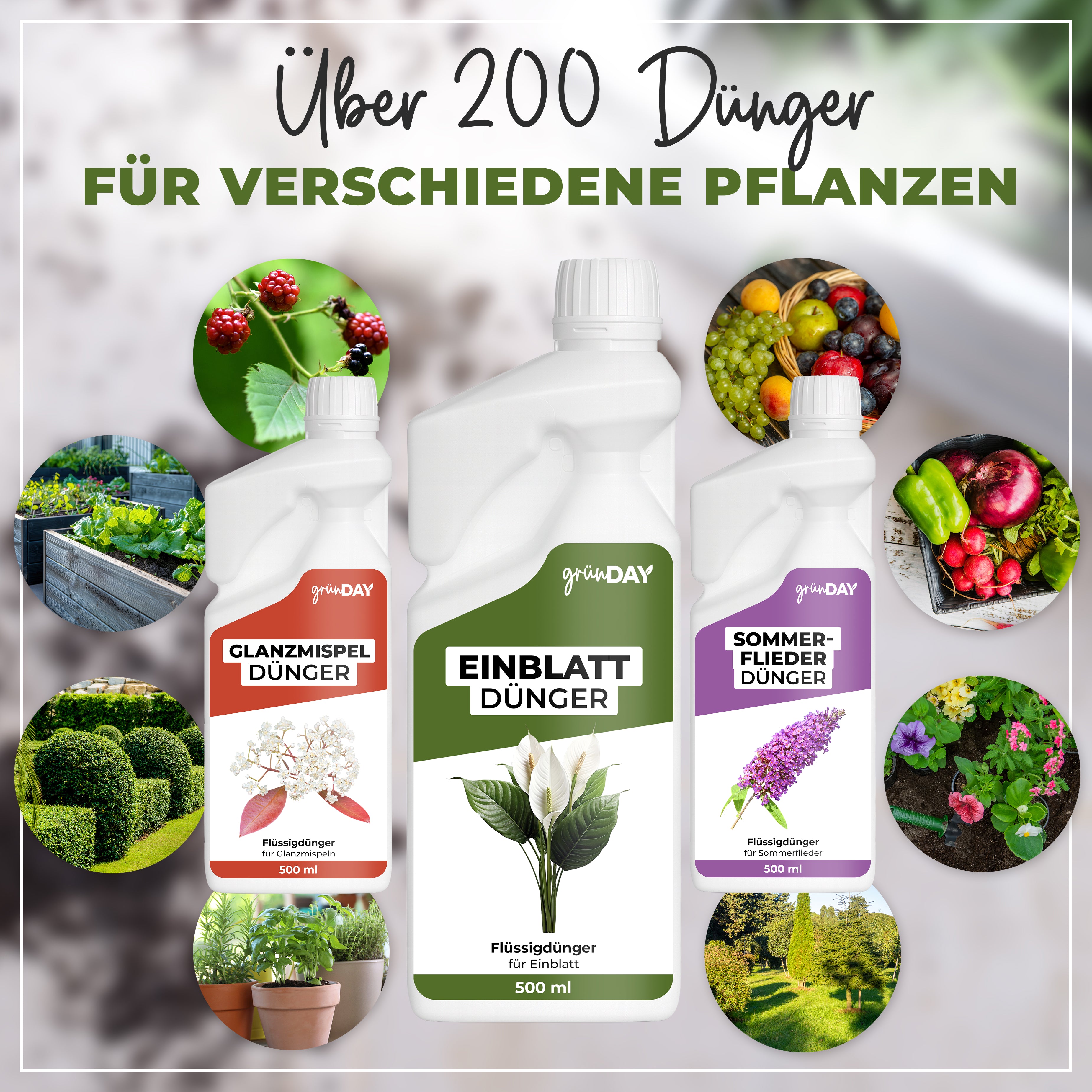 Gründay Einblatt Dünger – Produktansicht 7