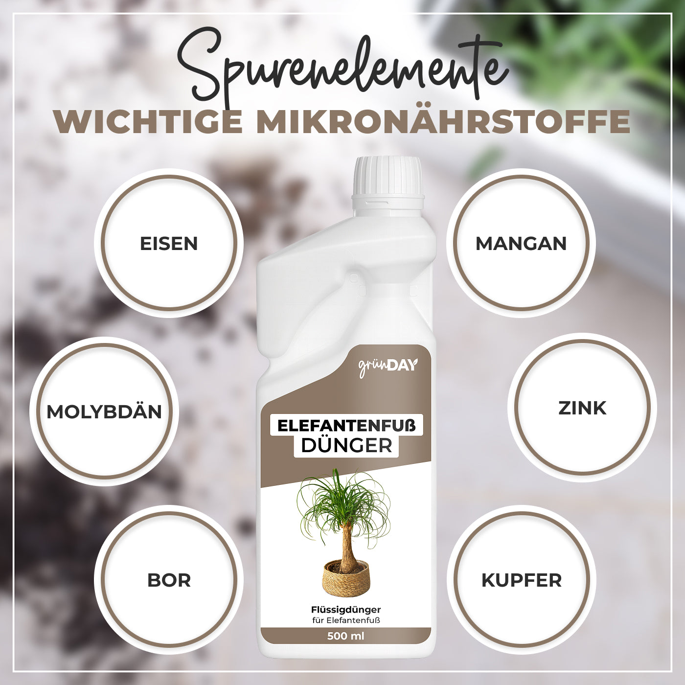 Gründay Elefantenfußdünger – Produktansicht 5