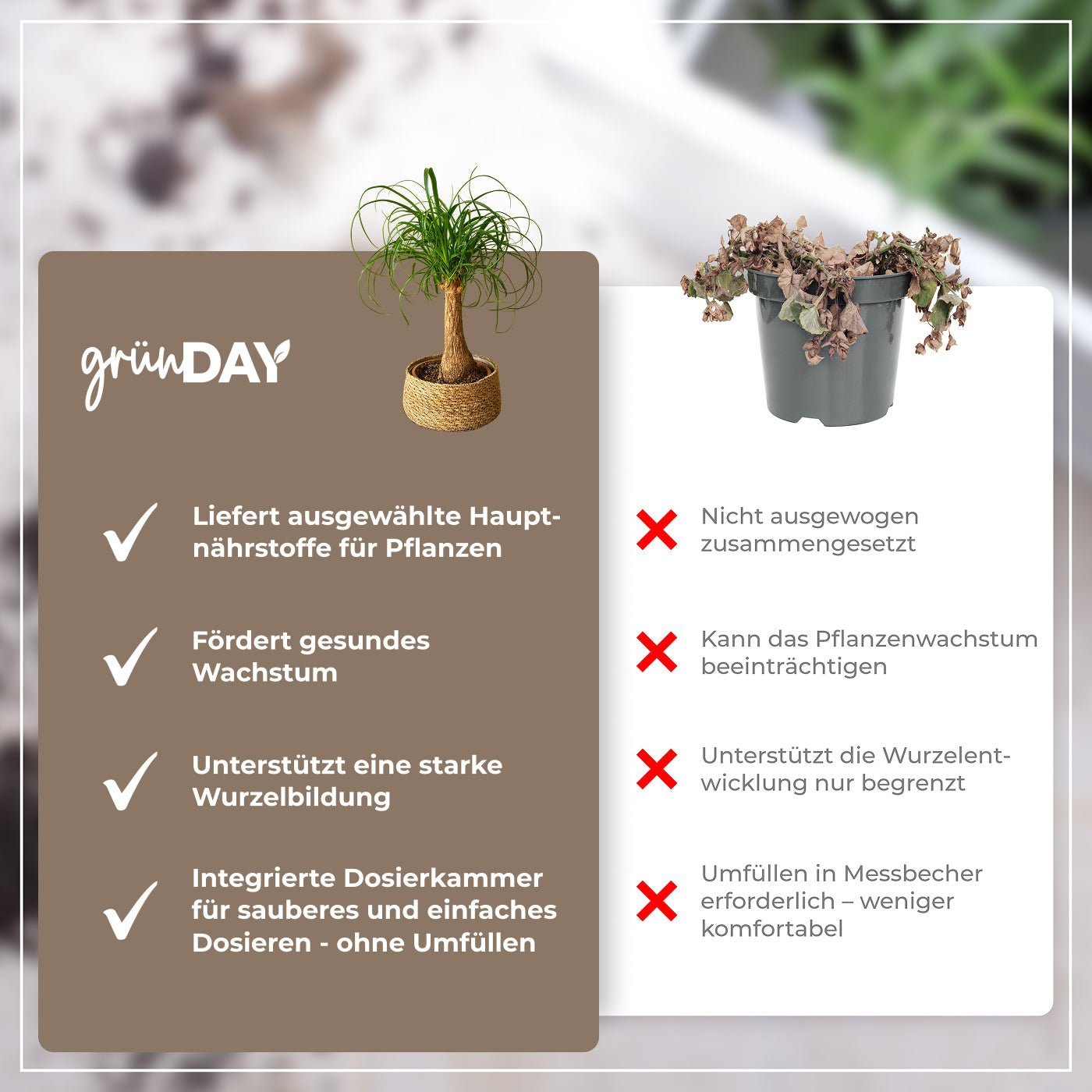 Gründay Elefantenfußdünger – Produktansicht 6