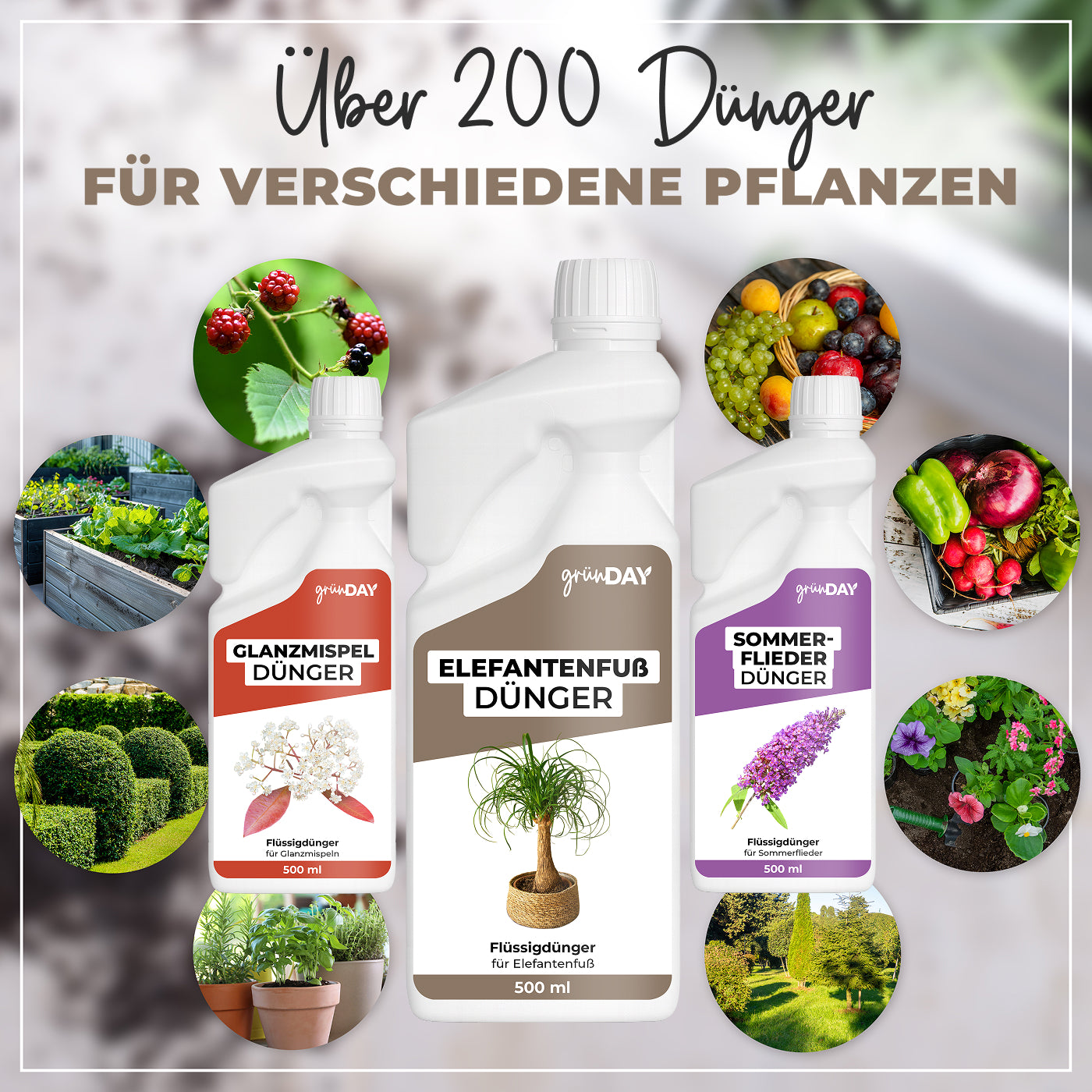 Gründay Elefantenfußdünger – Produktansicht 7