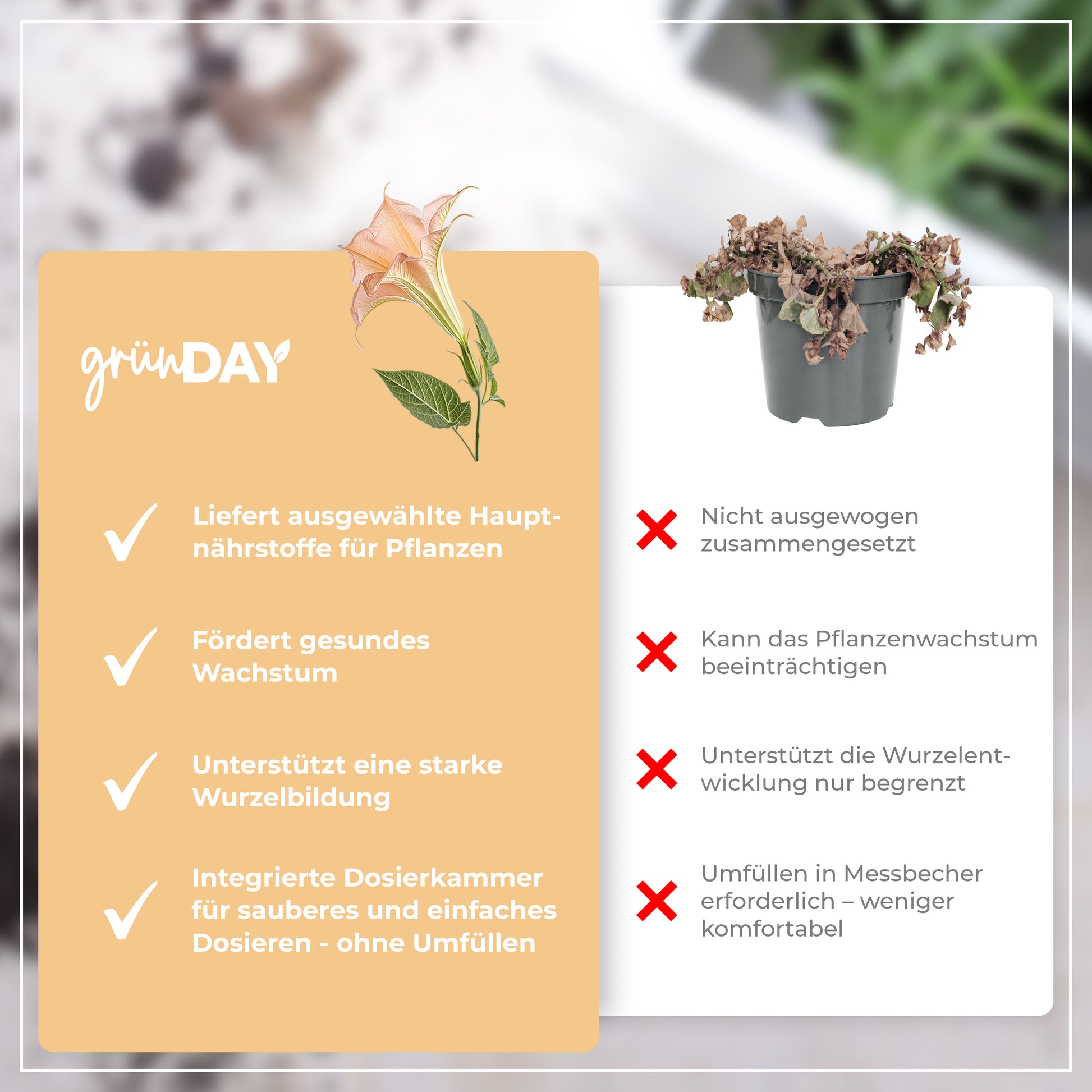 Gründay Engelstrompete Dünger – Produktansicht 6