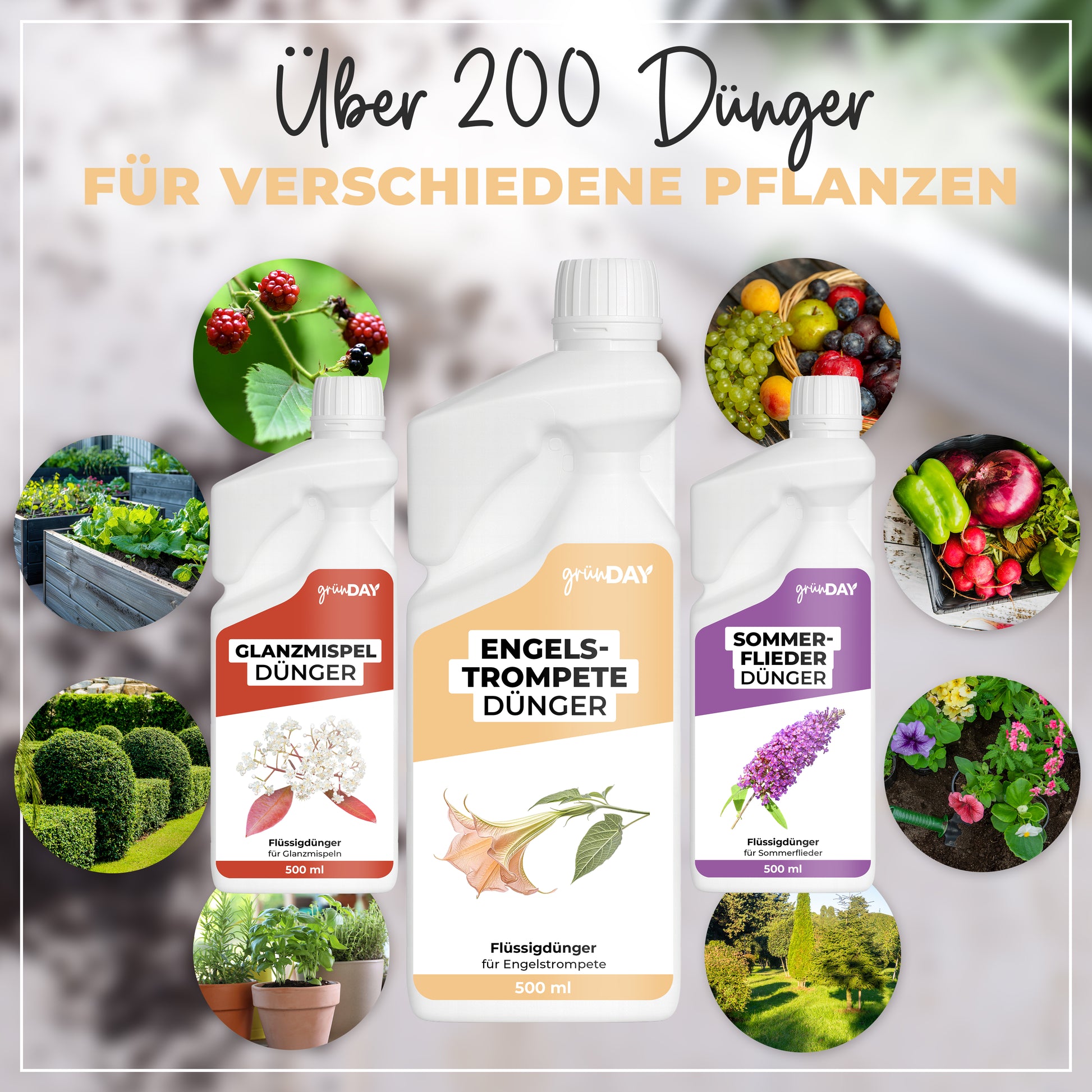 Gründay Engelstrompete Dünger – Produktansicht 7