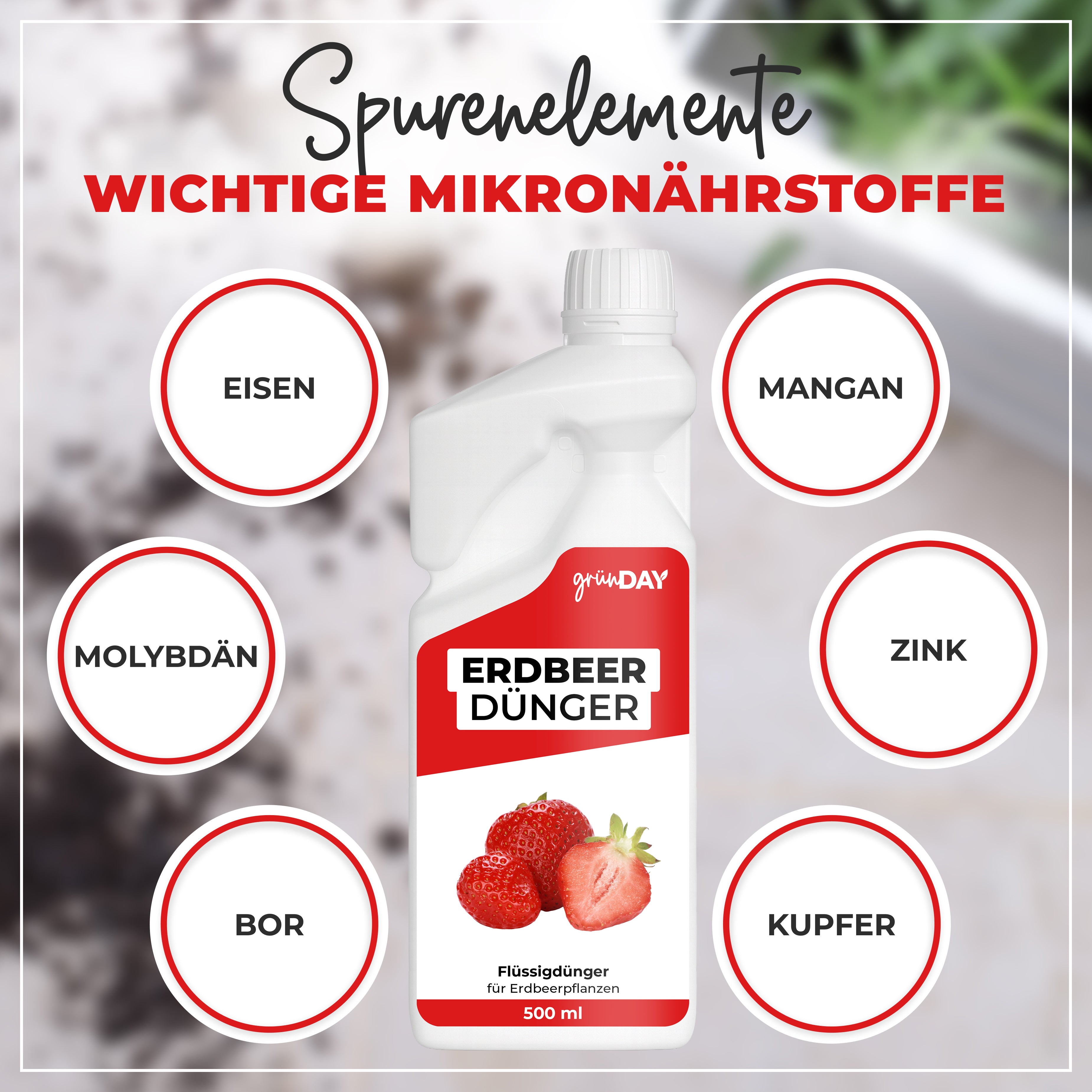 Gründay Erdbeerdünger – Produktansicht 5