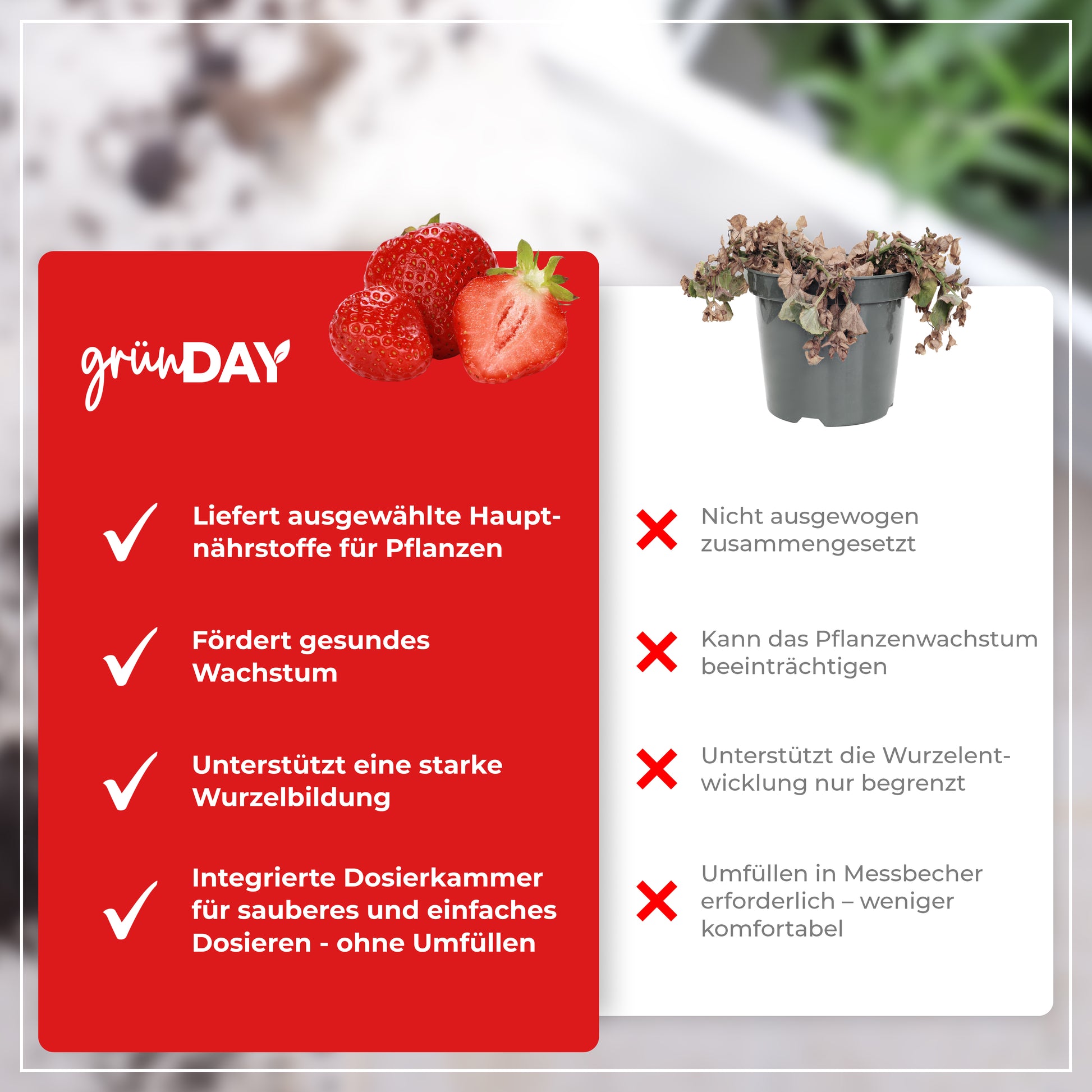 Gründay Erdbeerdünger – Produktansicht 6