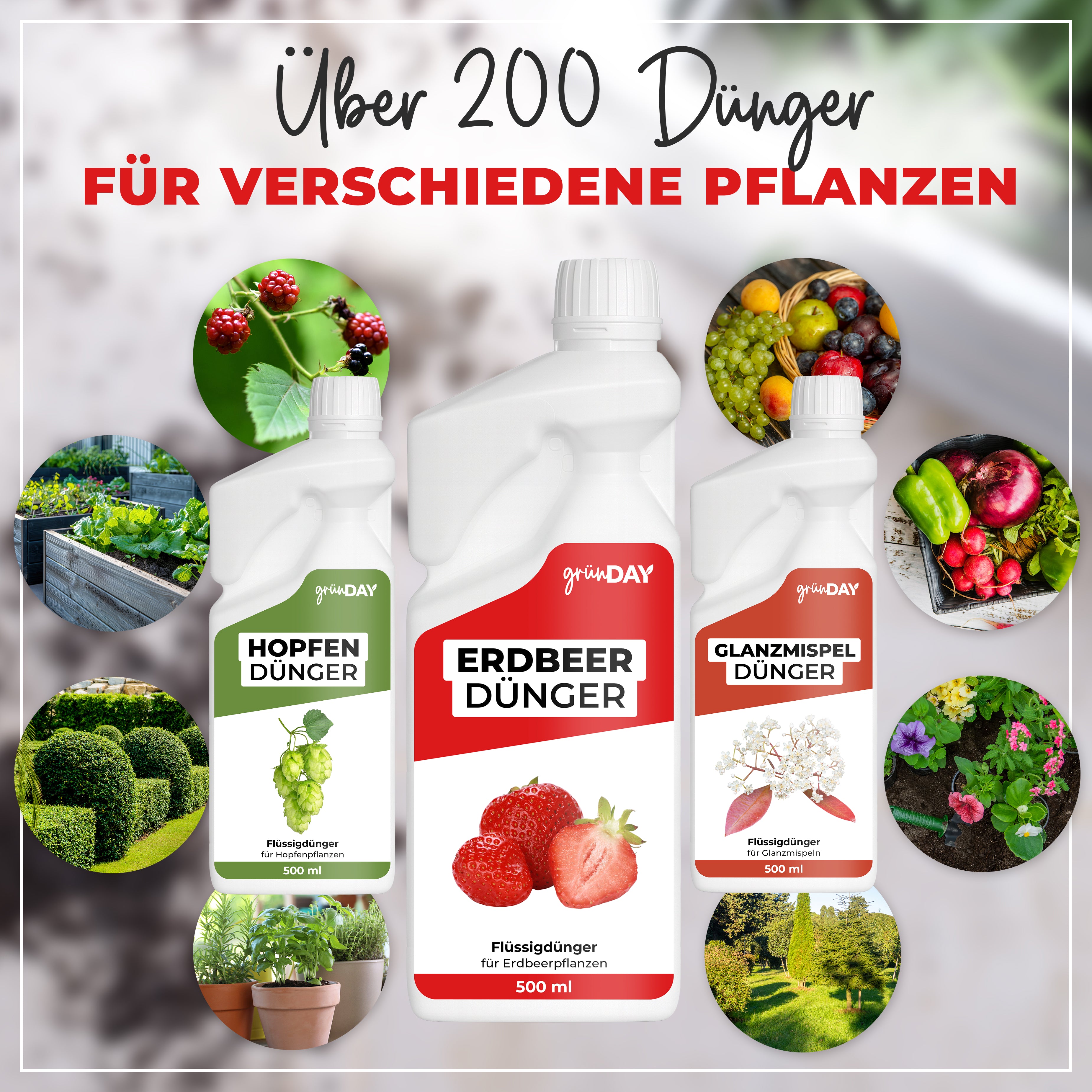 Gründay Erdbeerdünger – Produktansicht 7