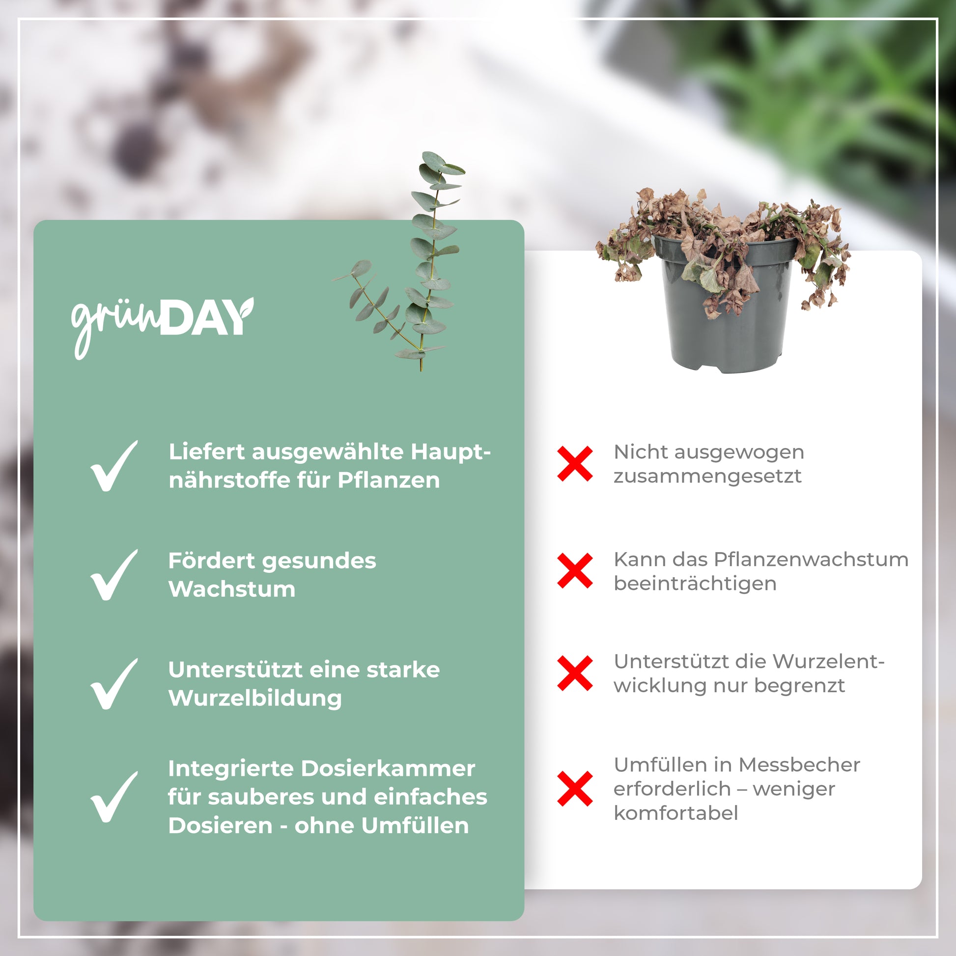 Gründay Eukalyptusdünger – Produktansicht 6