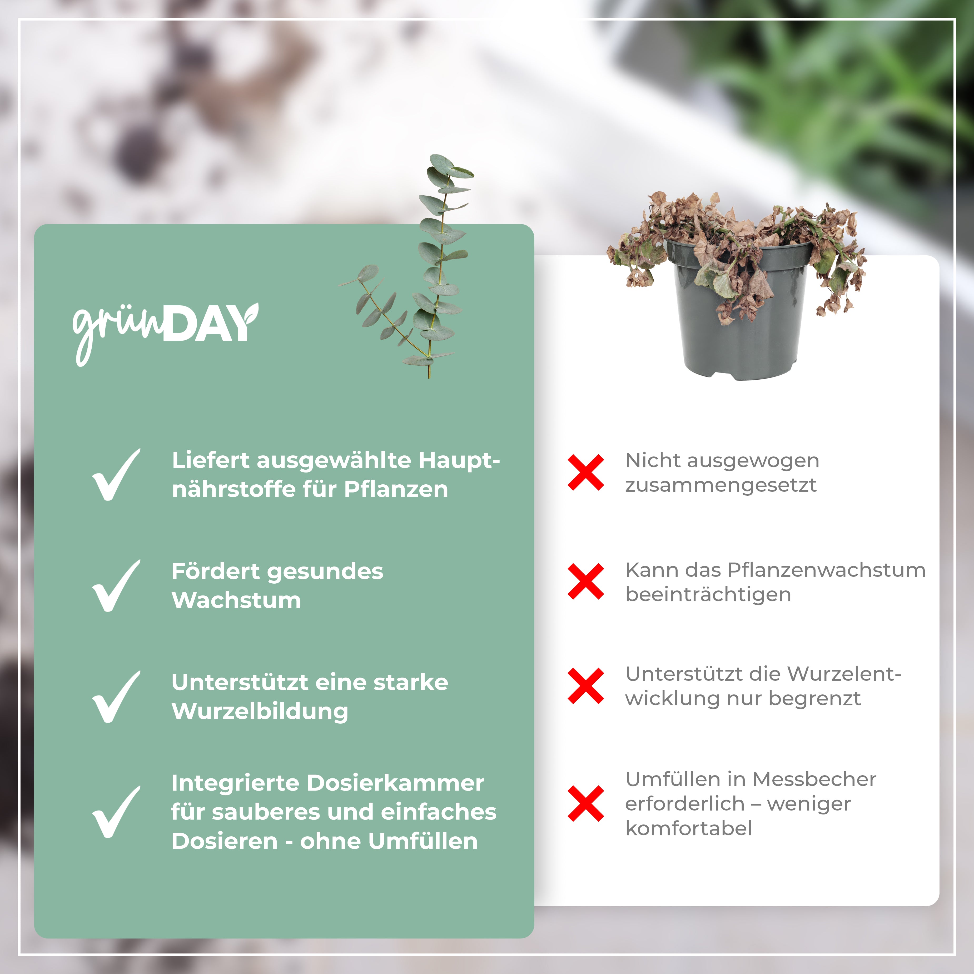 Gründay Eukalyptusdünger – Produktansicht 6