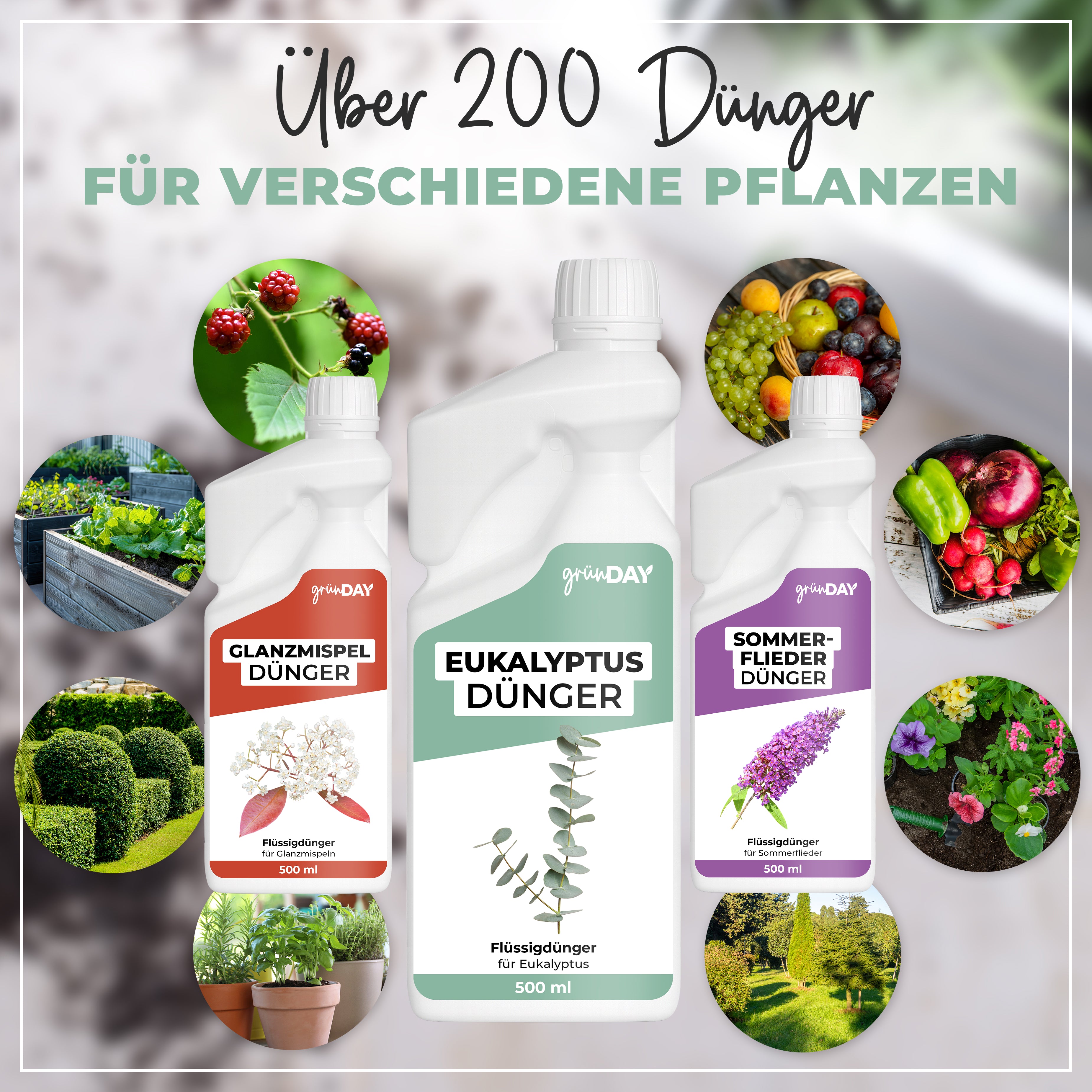Gründay Eukalyptusdünger – Produktansicht 7