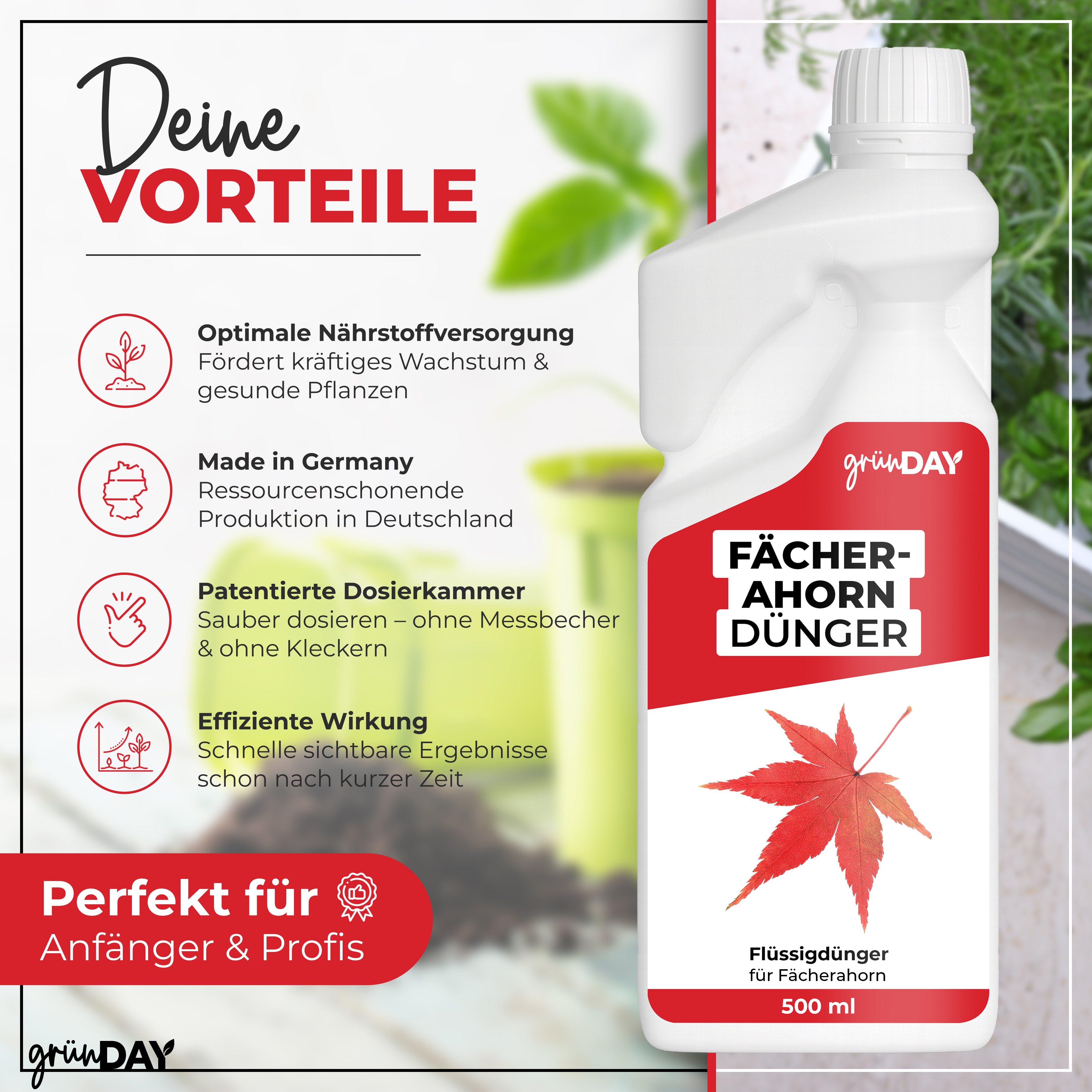 Fächerahorn-Flüssigdünger 500 ml