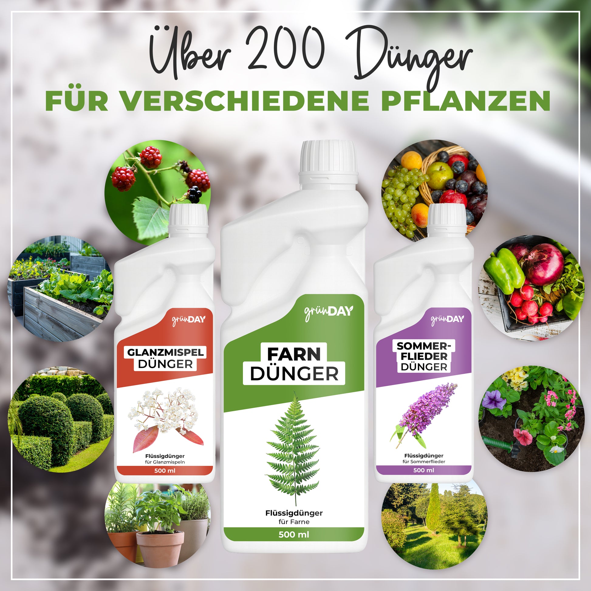 Gründay Farndünger – Produktansicht 7