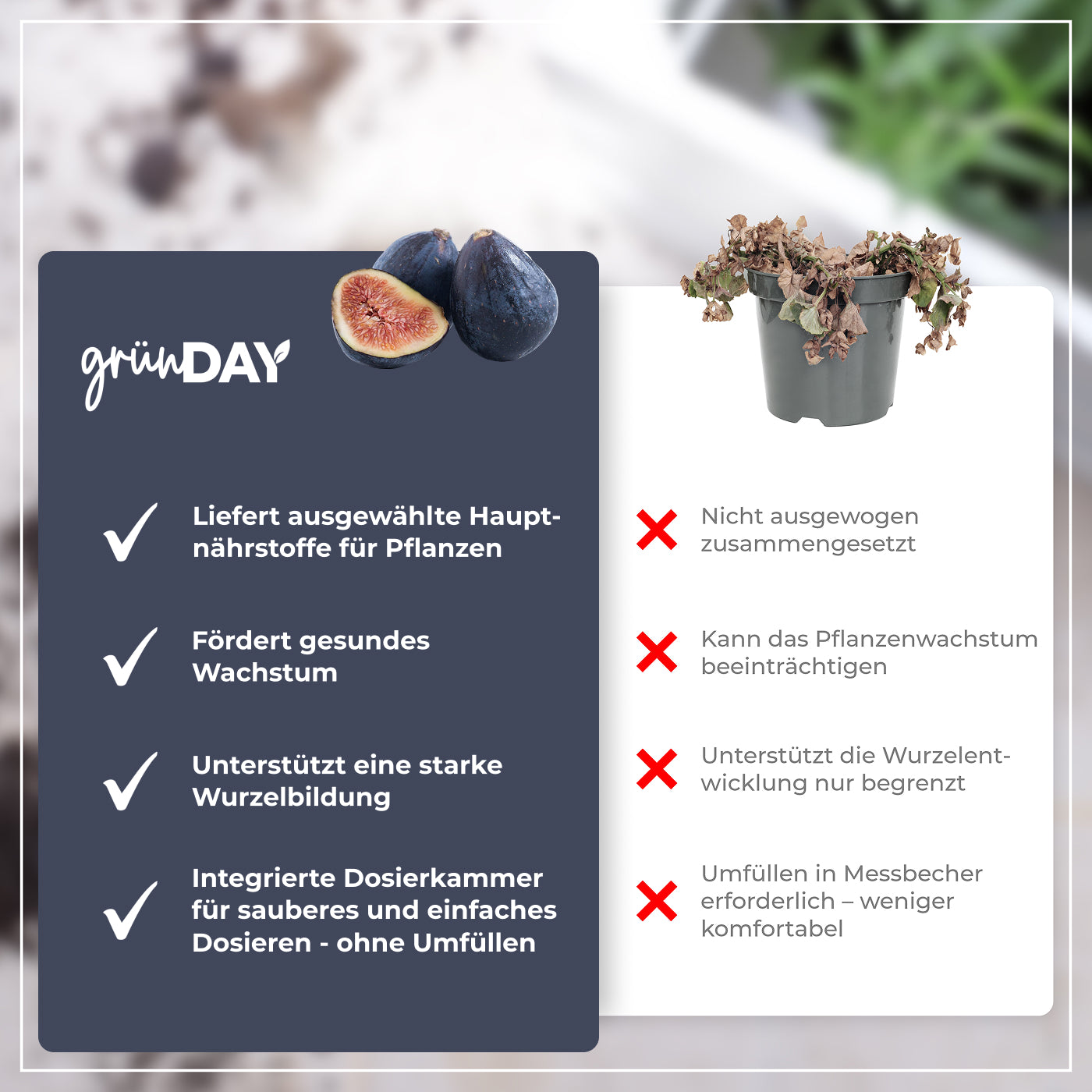 Gründay Feigendünger – Produktansicht 6