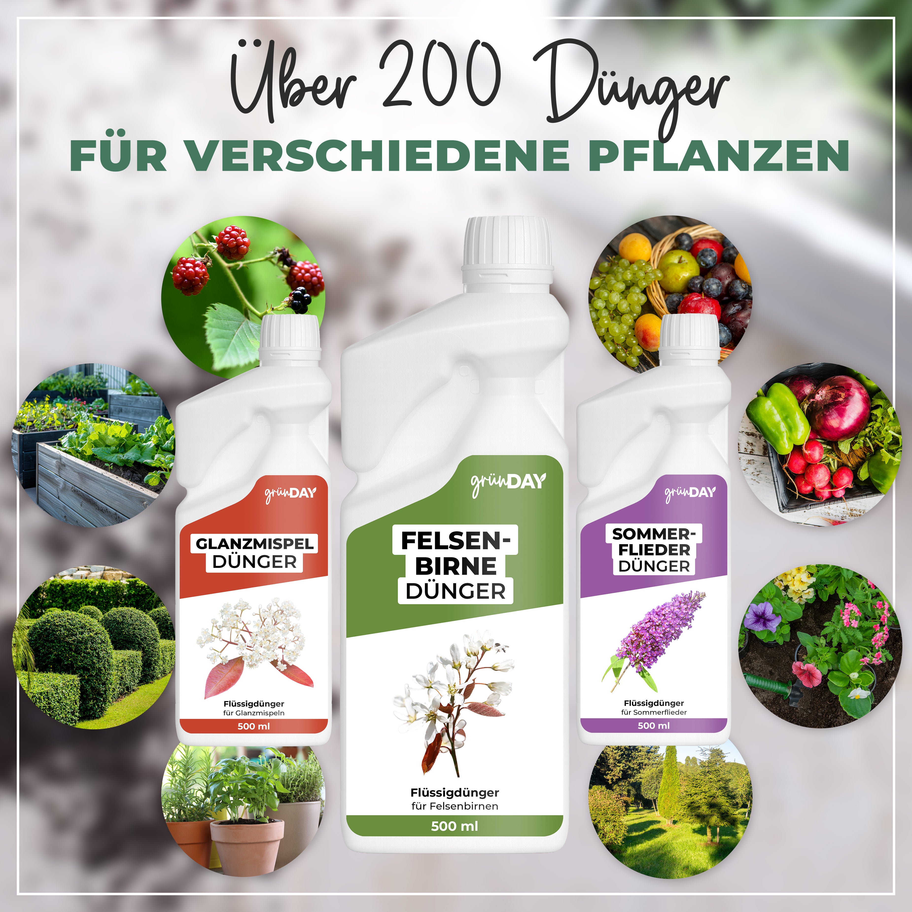 Gründay Felsenbirne Dünger – Produktansicht 7