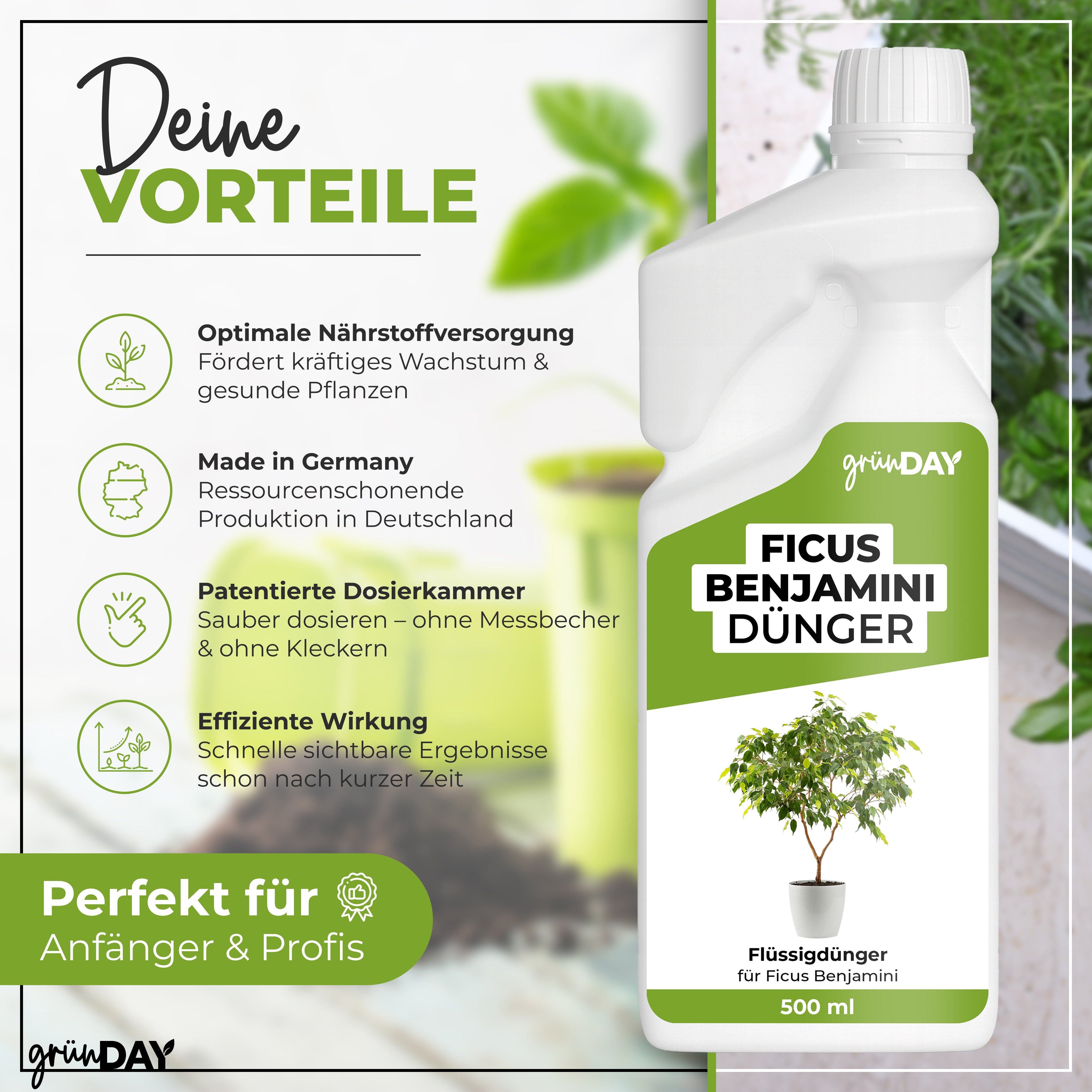 Gründay Ficus Benjamini Dünger – Produktansicht 2