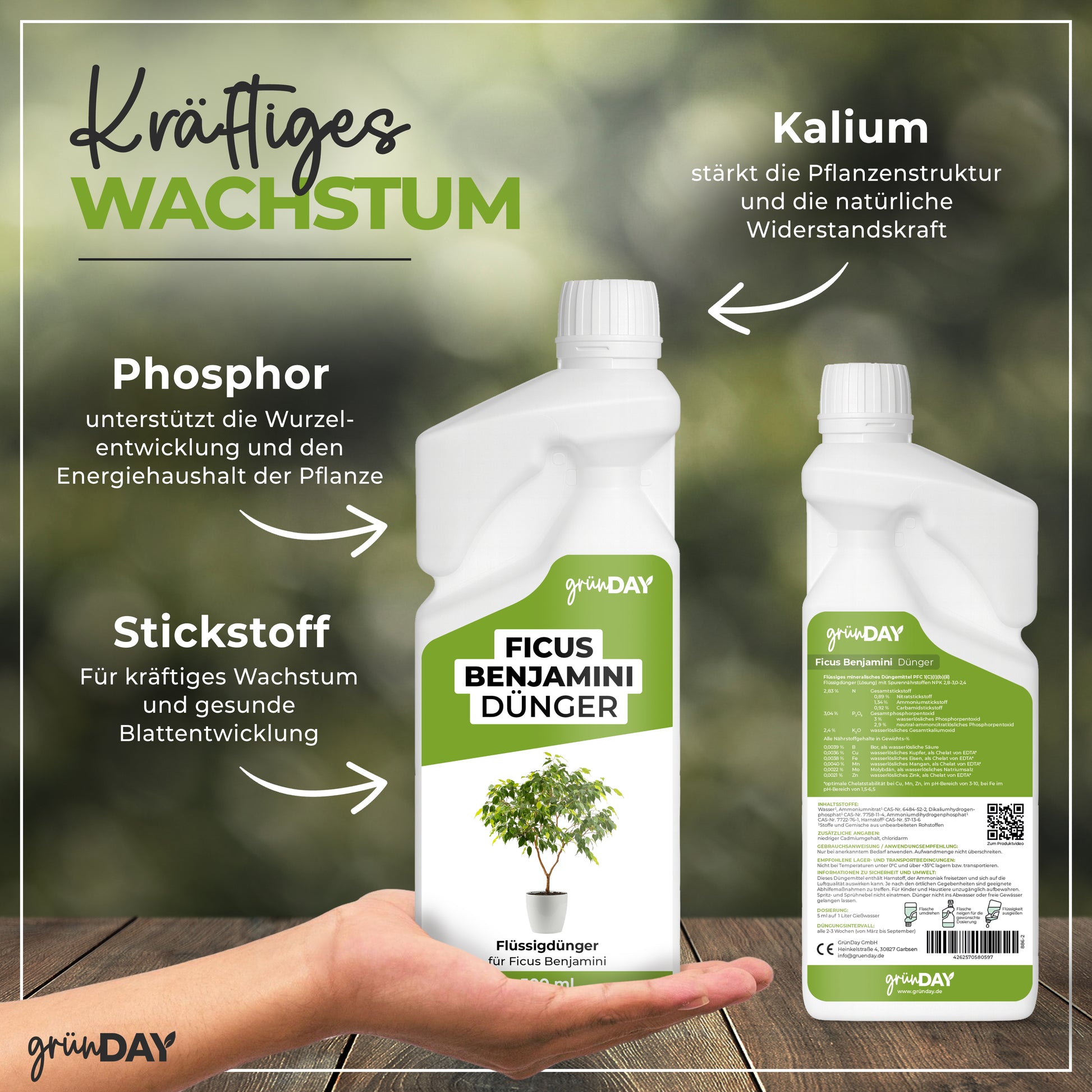 Gründay Ficus Benjamini Dünger – Produktansicht 4