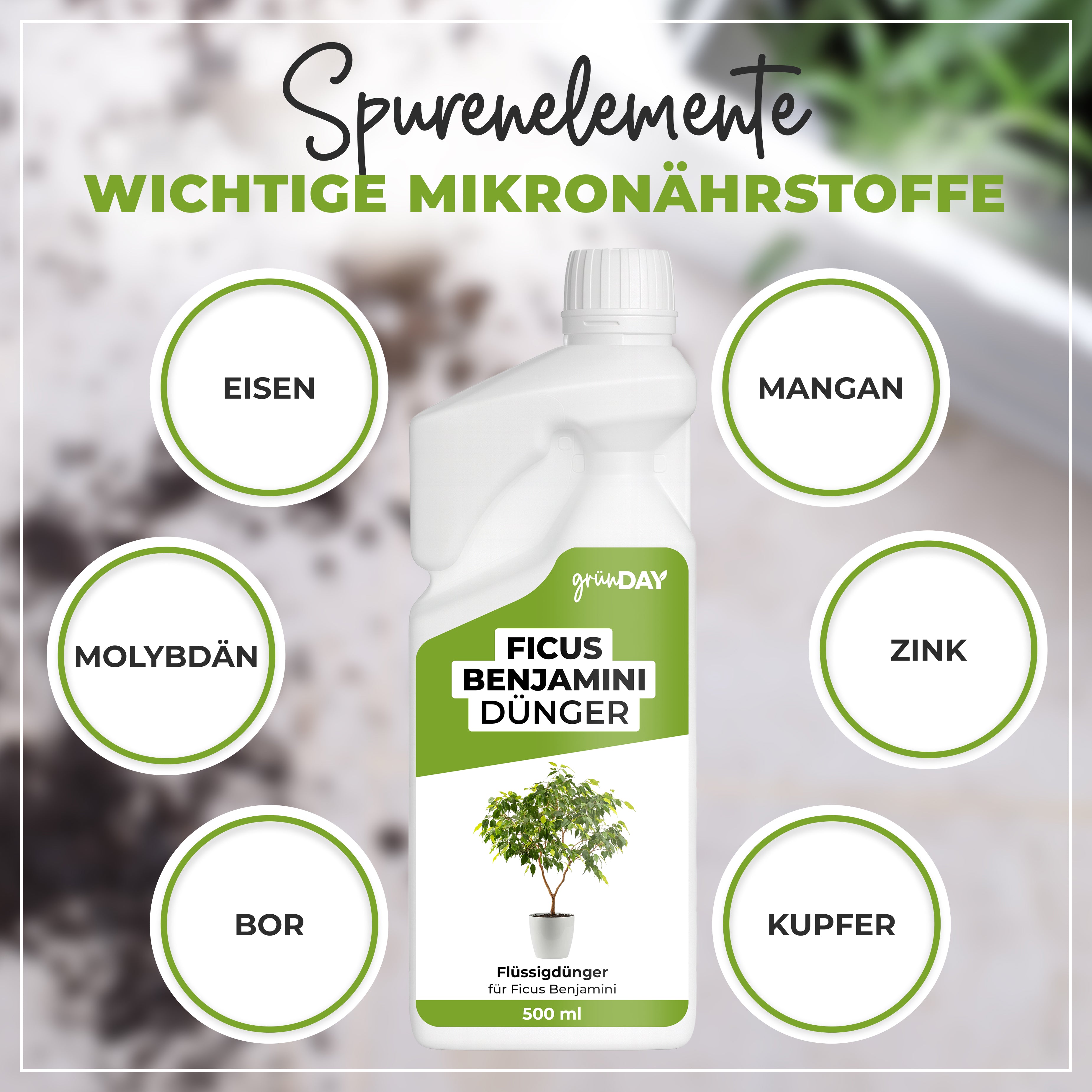 Gründay Ficus Benjamini Dünger – Produktansicht 5