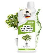 Gründay Ficus Benjamini Dünger – Produktbild