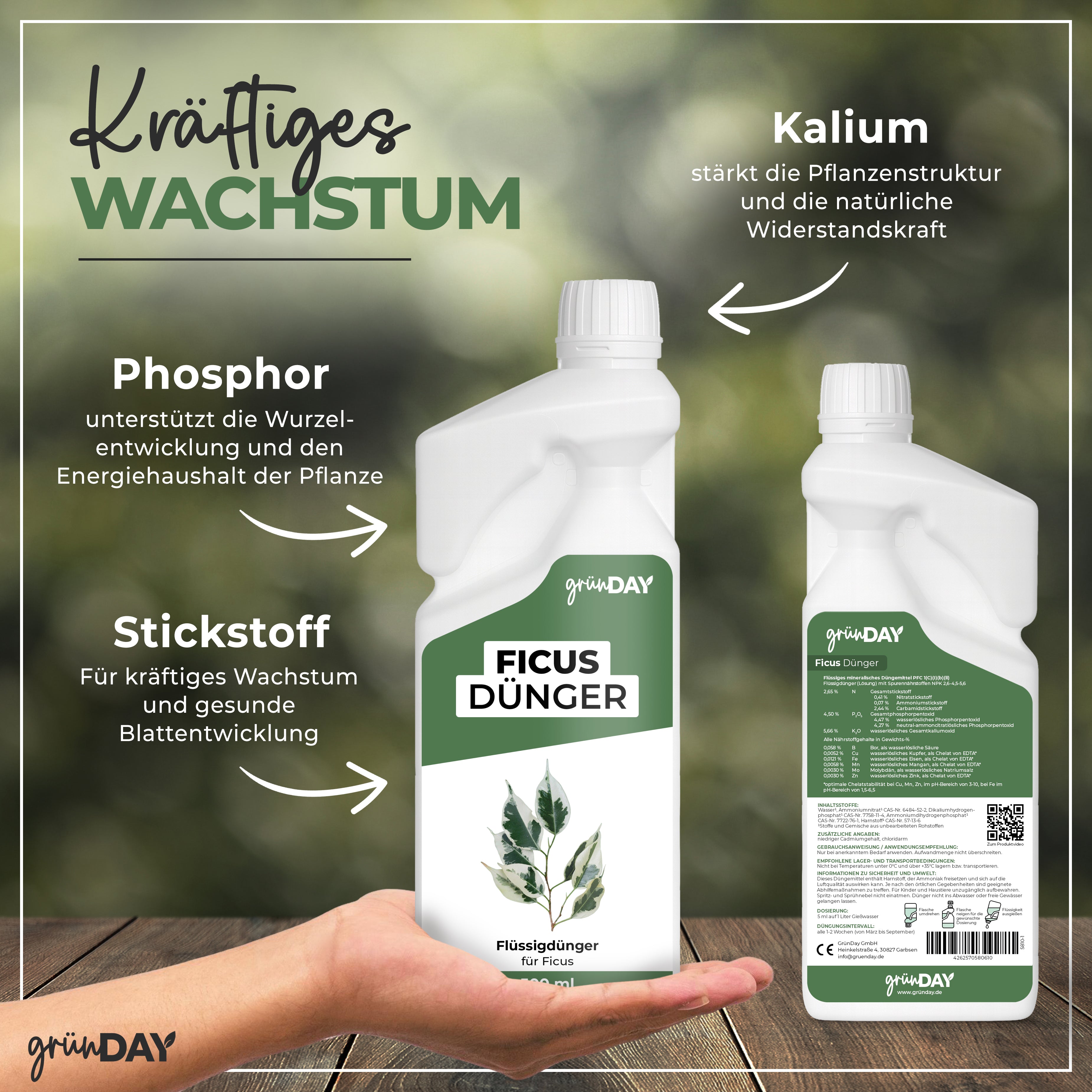 Ficus-Flüssigdünger 500 ml