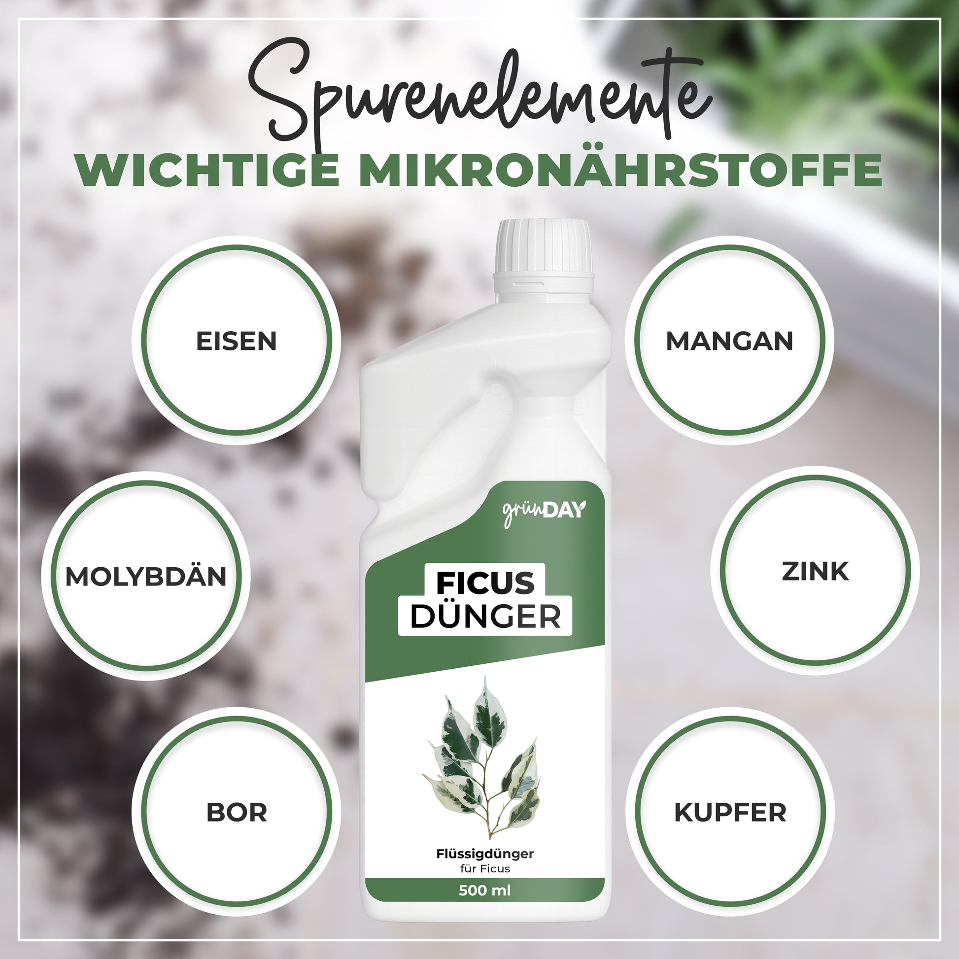 Gründay Ficusdünger – Produktansicht 5