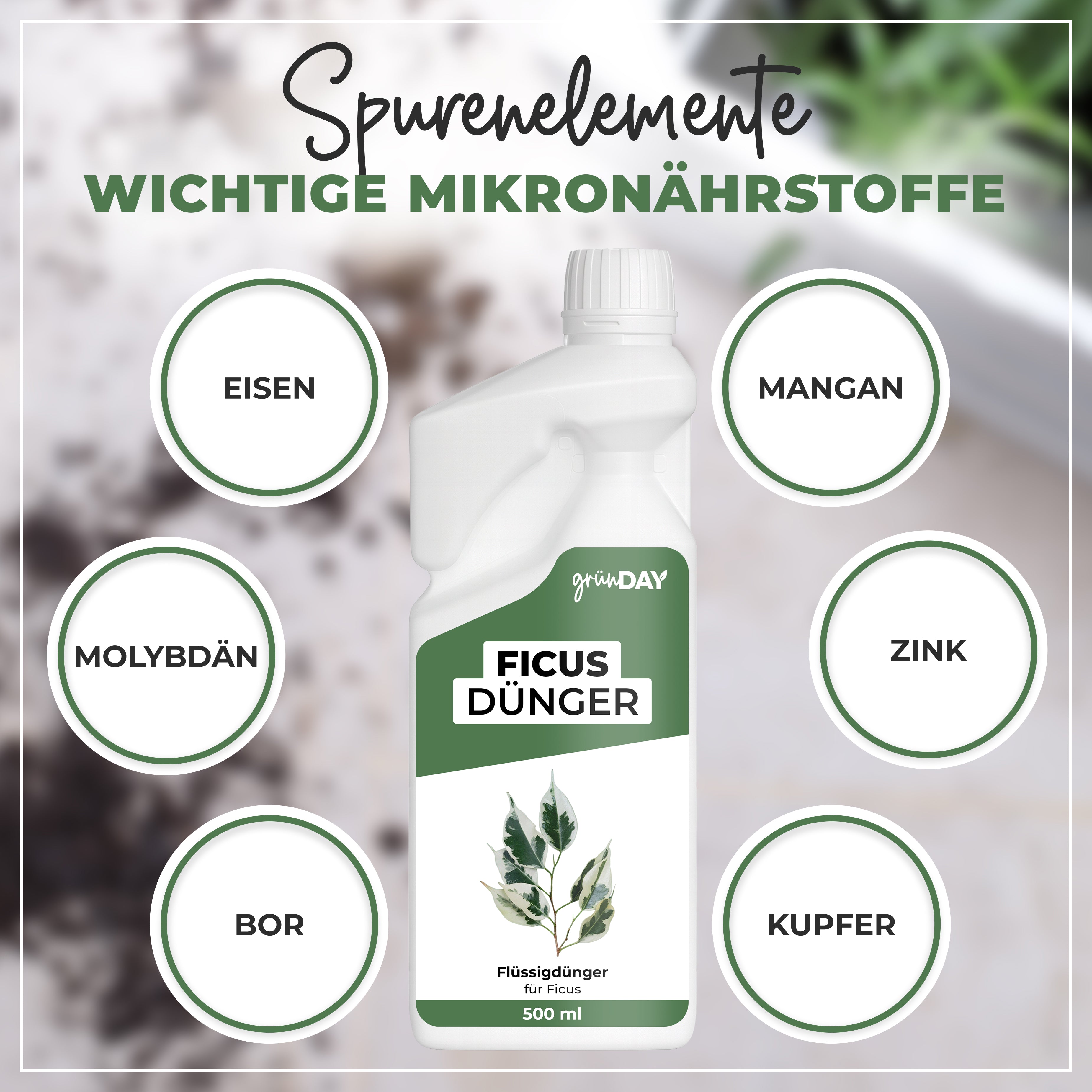 Gründay Ficusdünger – Produktansicht 5