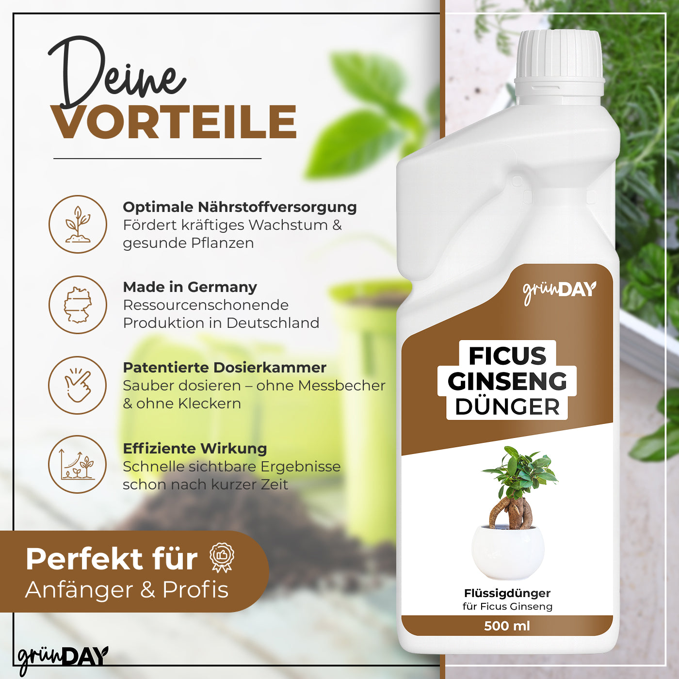 Gründay Ficus Ginseng Dünger – Produktansicht 2