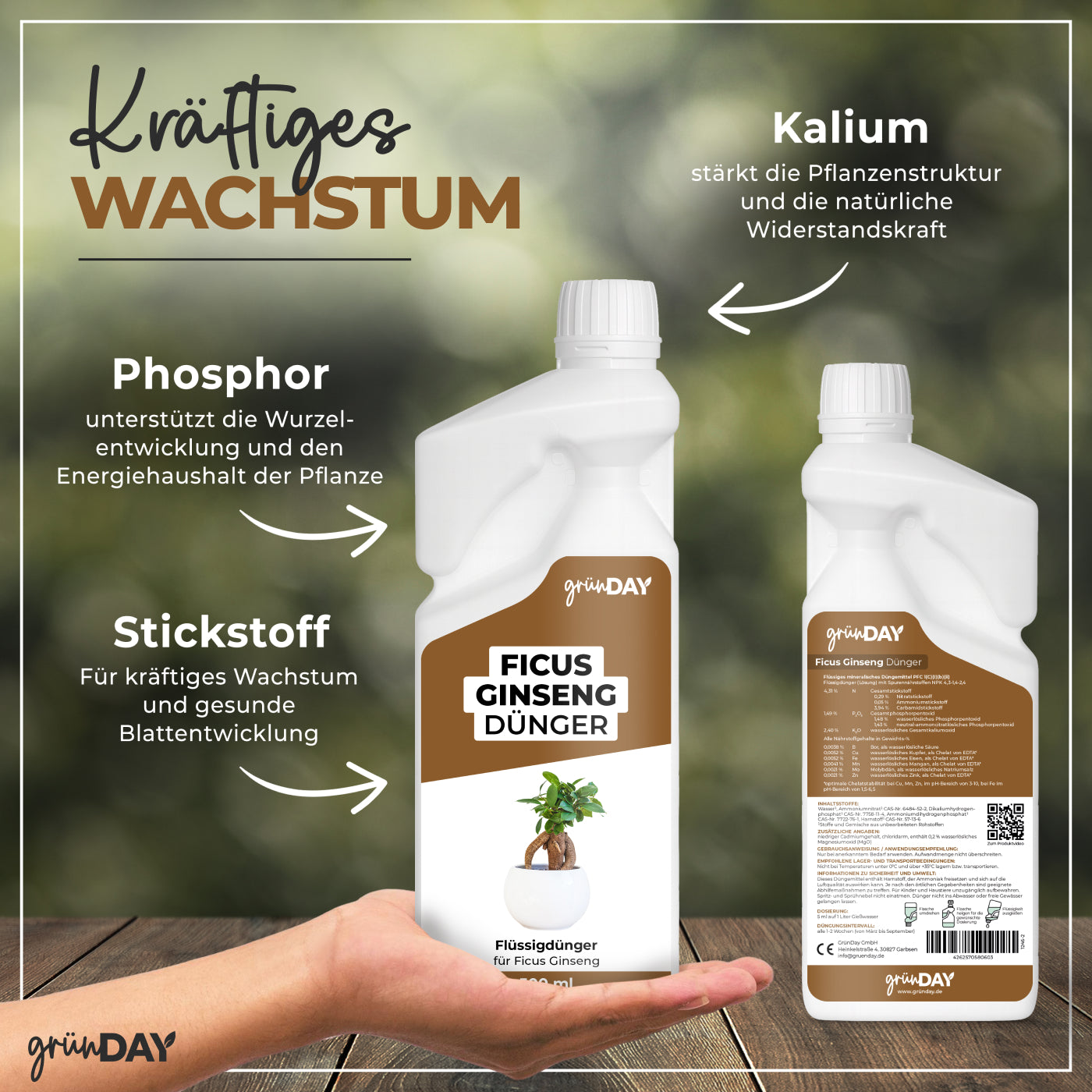 Gründay Ficus Ginseng Dünger – Produktansicht 4