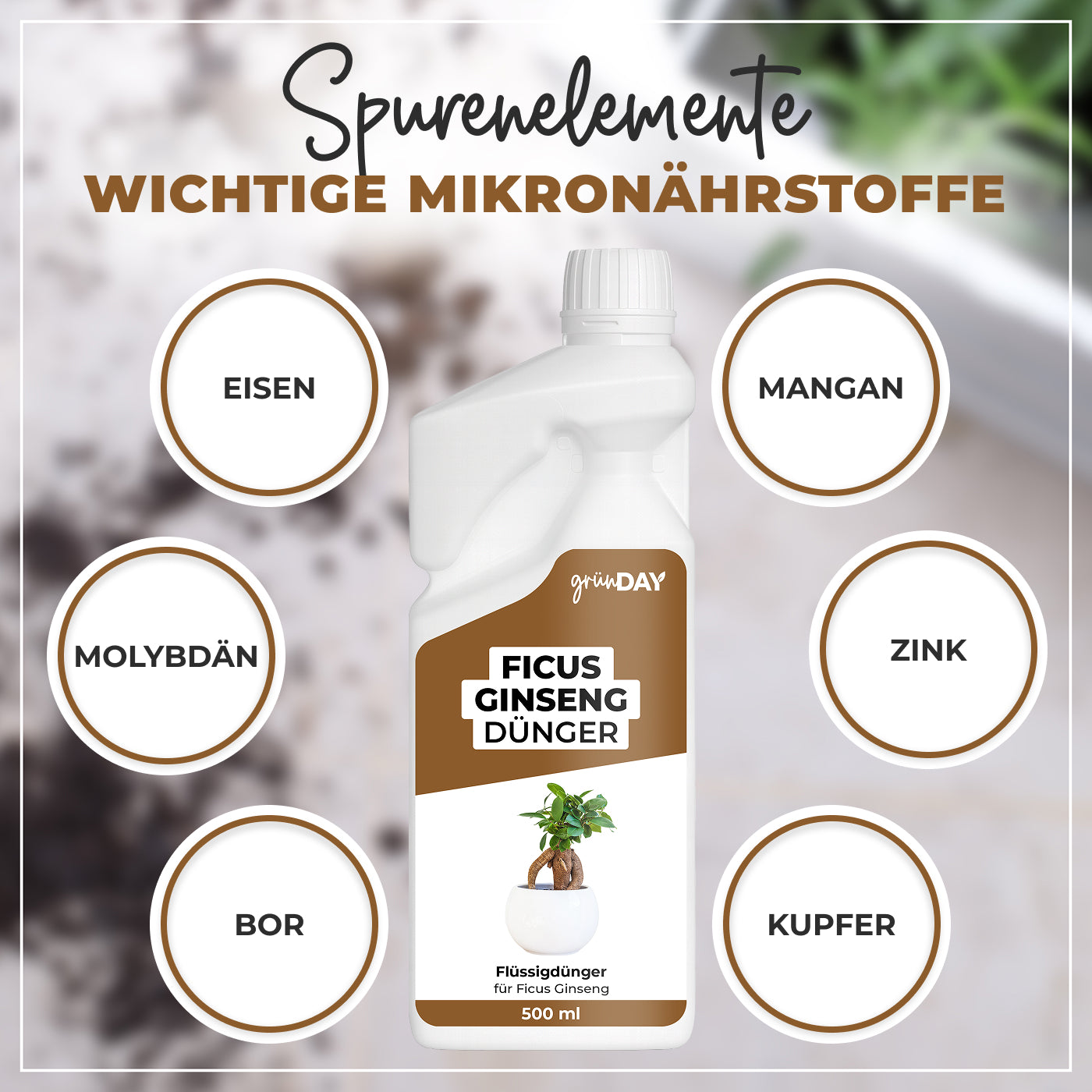 Gründay Ficus Ginseng Dünger – Produktansicht 5