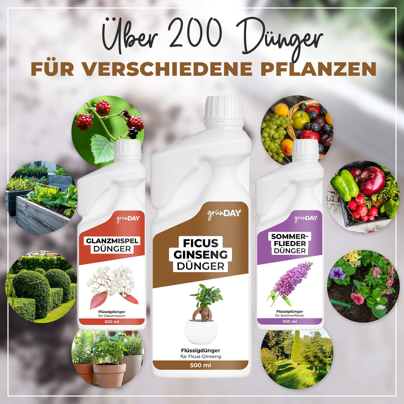Gründay Ficus Ginseng Dünger – Produktansicht 7