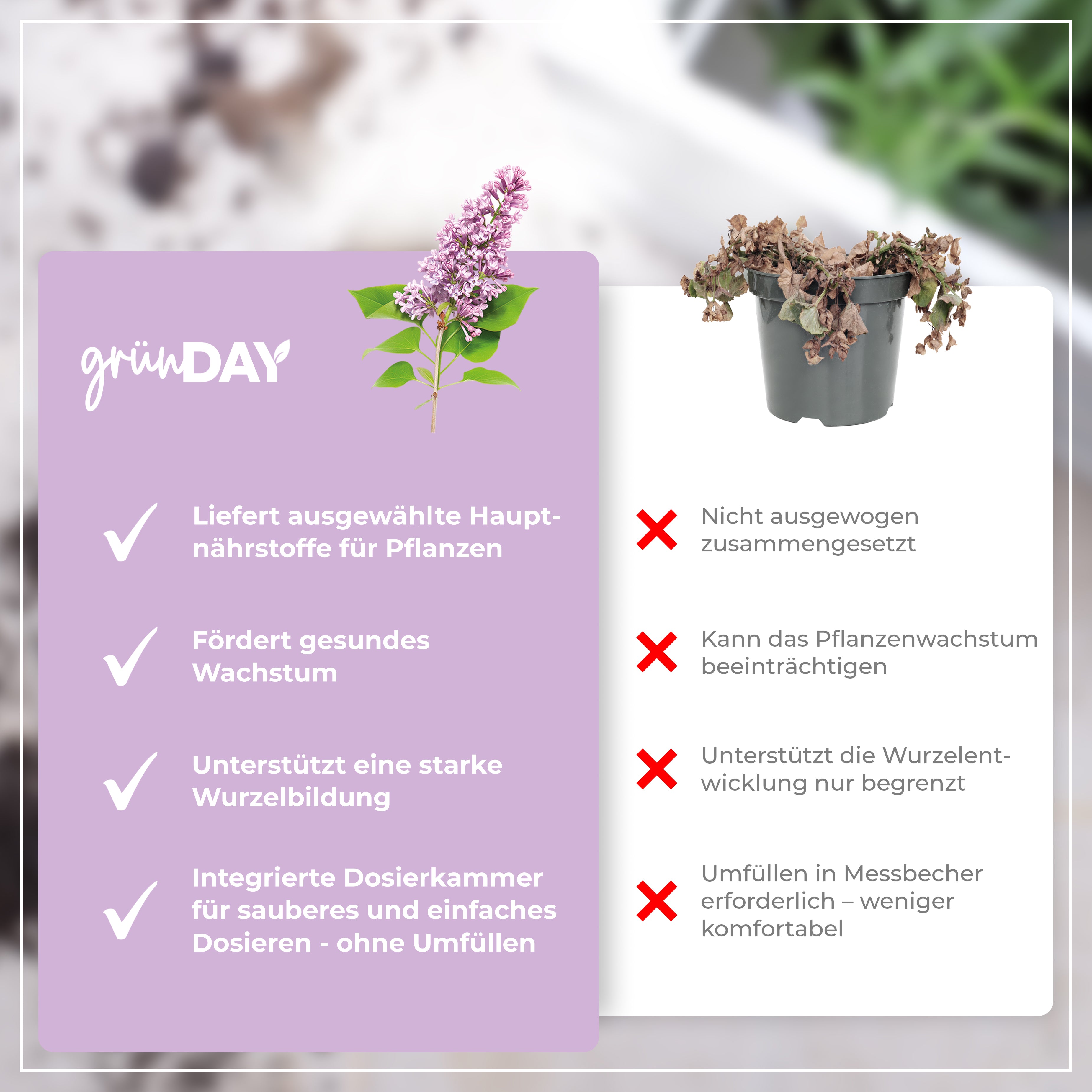 Gründay Fliederdünger – Produktansicht 6