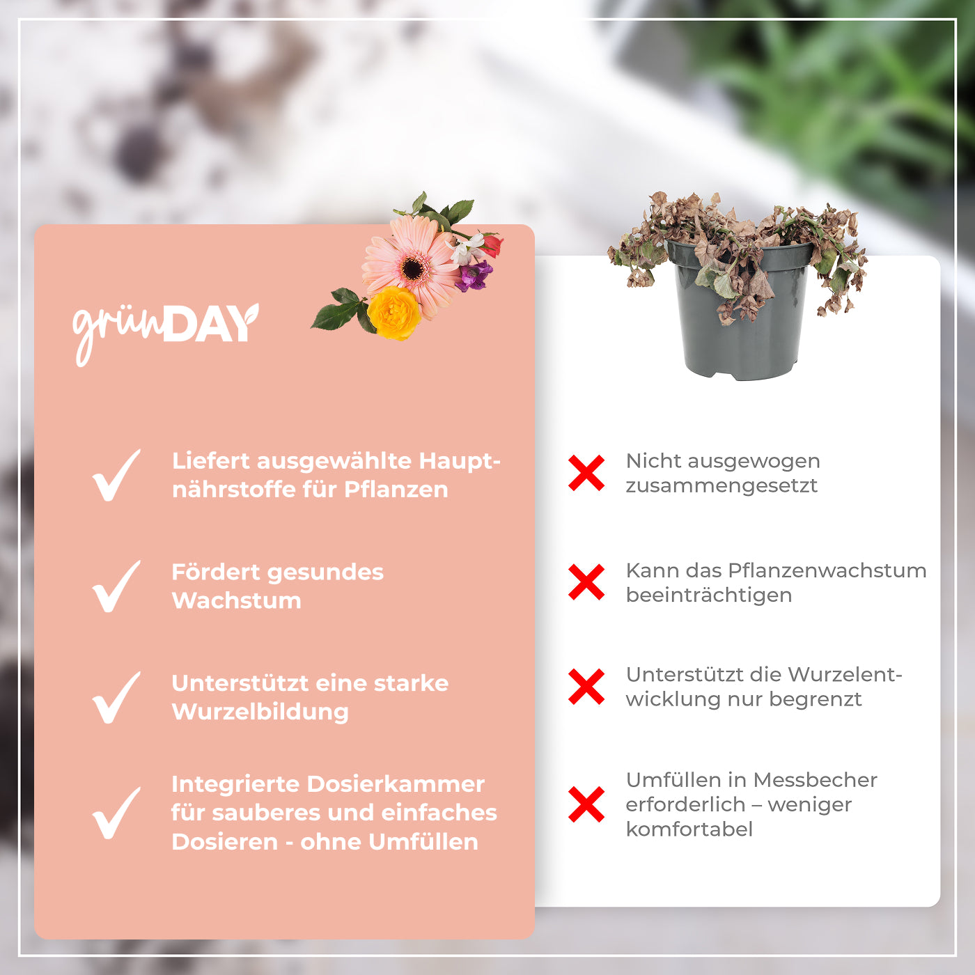 Gründay Flüssigdünger – Produktansicht 6