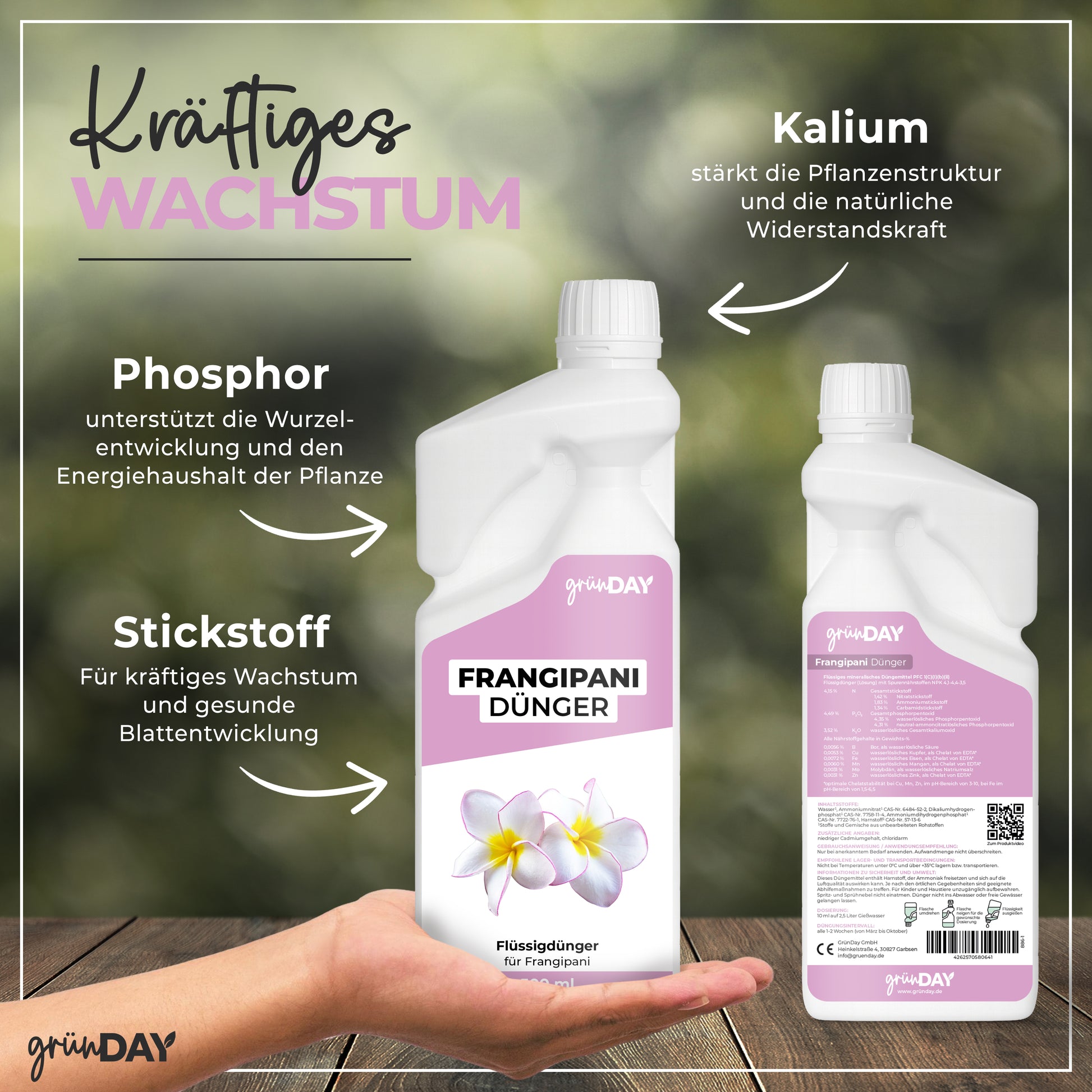 Gründay Frangipanidünger – Produktansicht 4