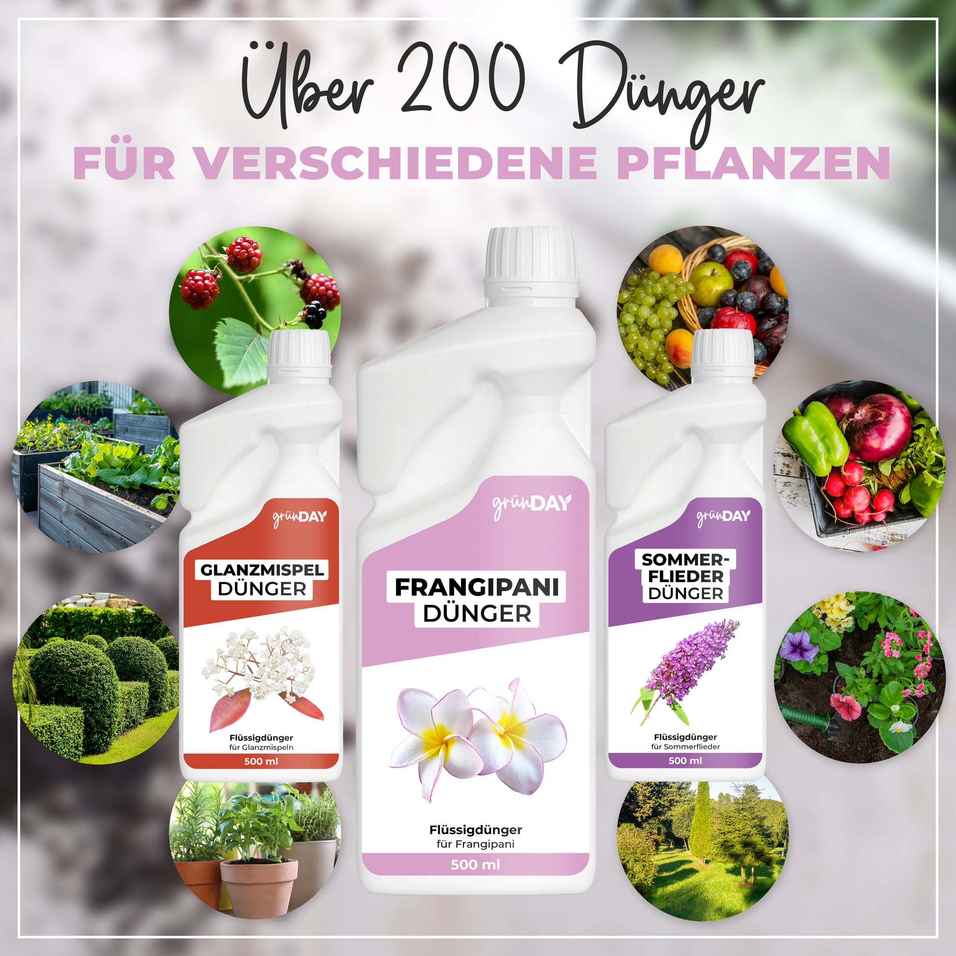 Gründay Frangipanidünger – Produktansicht 7