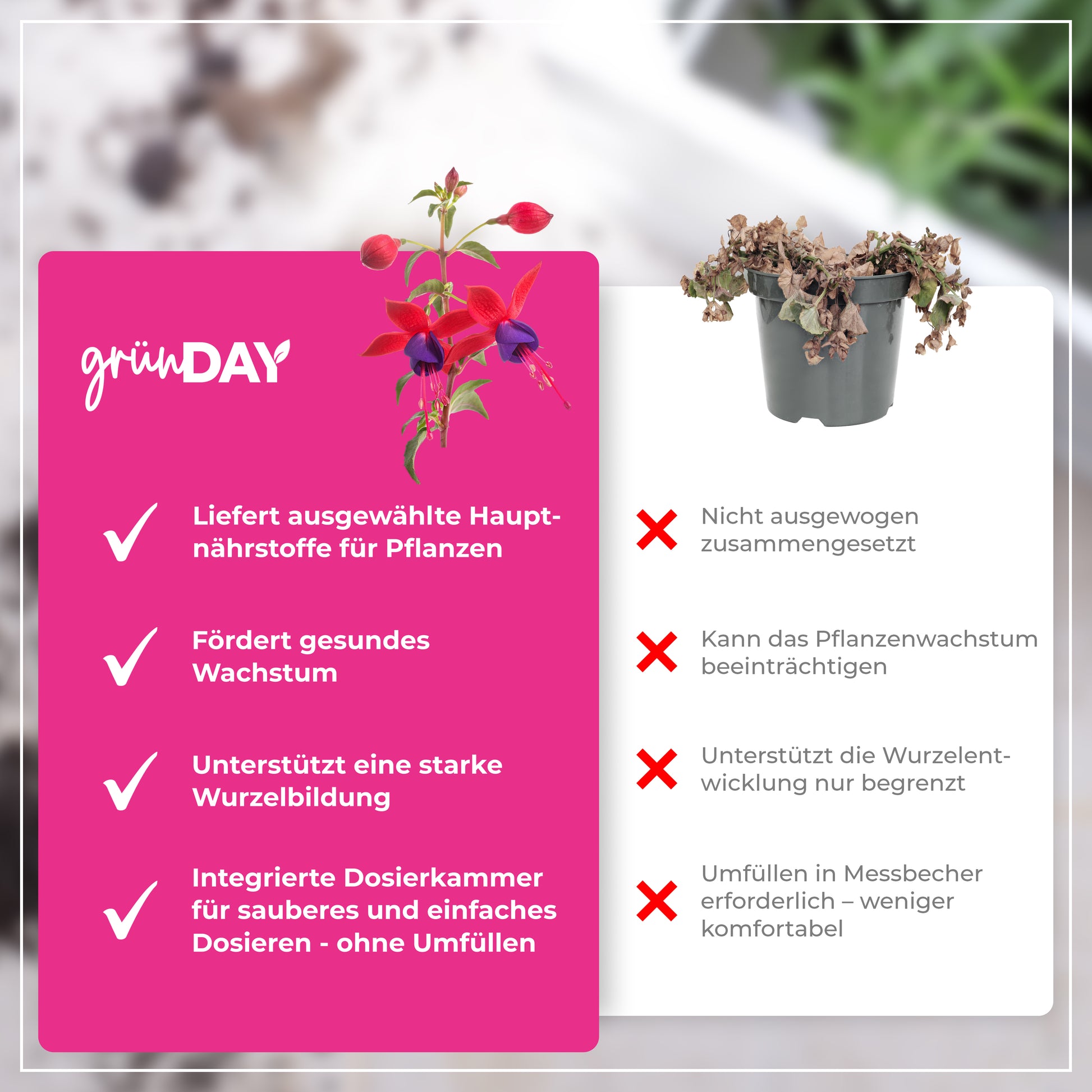 Gründay Fuchsiendünger – Produktansicht 6