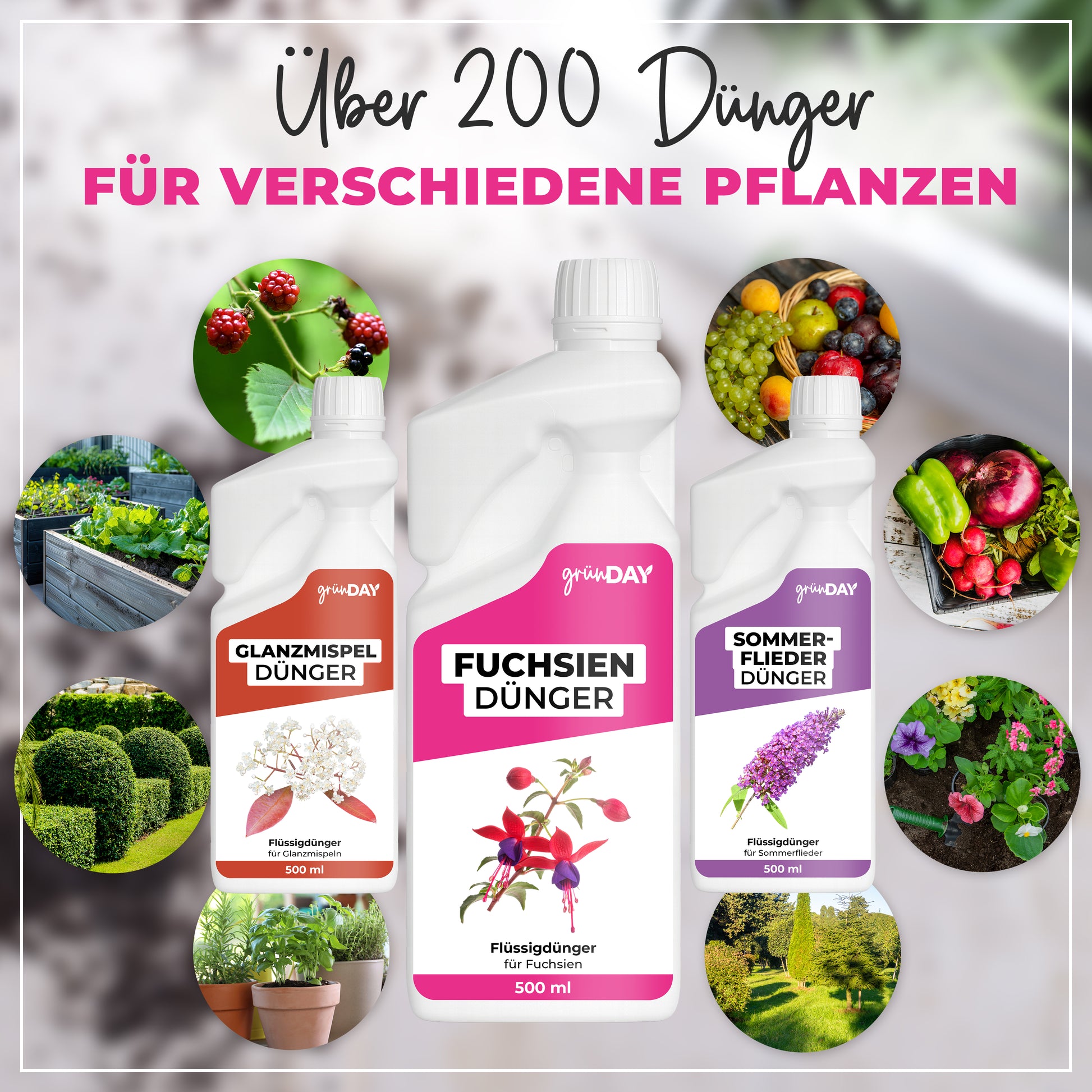Gründay Fuchsiendünger – Produktansicht 7
