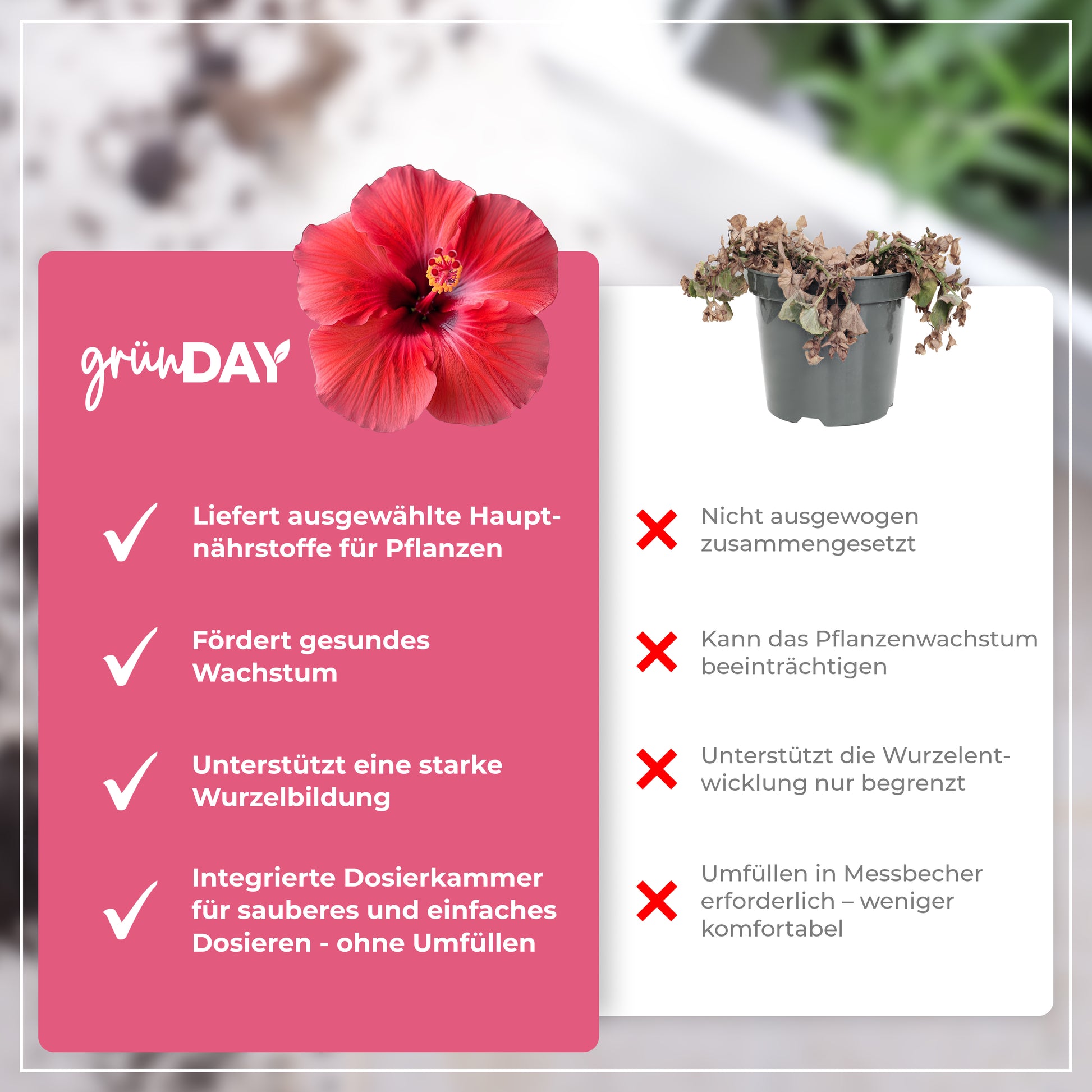 Gründay Gartenhibiskus Dünger – Produktansicht 6