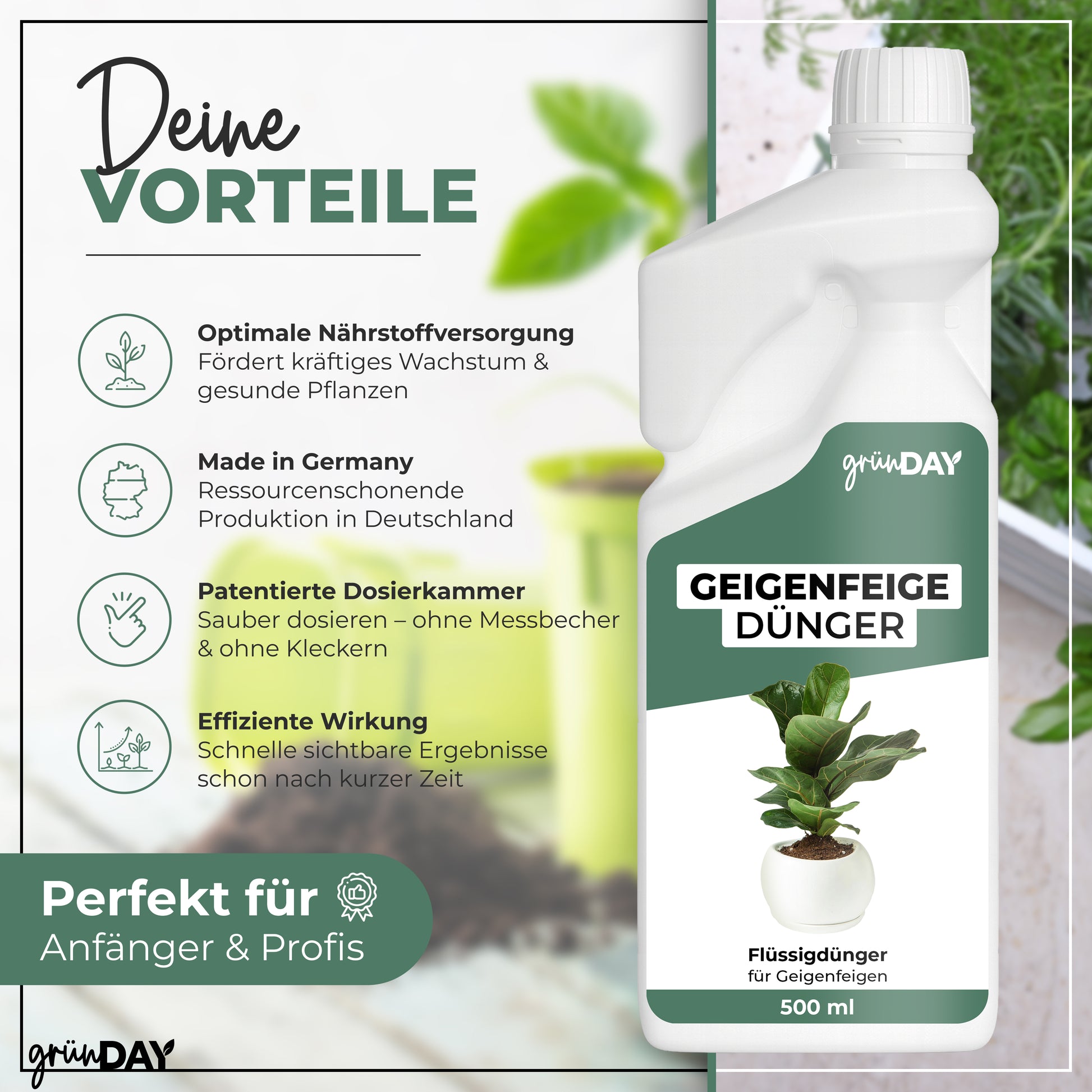 Gründay Geigenfeige Dünger – Produktansicht 2