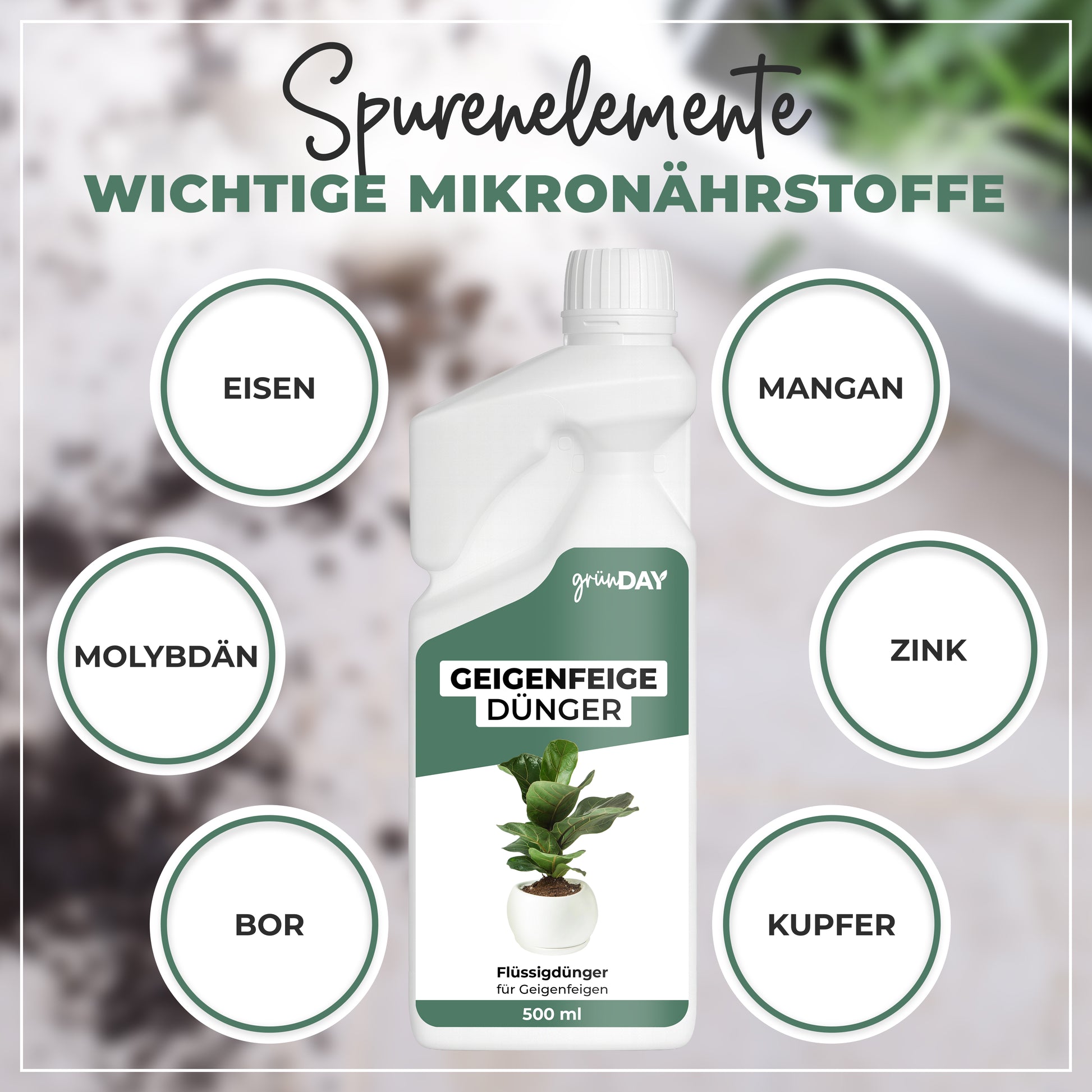 Gründay Geigenfeige Dünger – Produktansicht 5