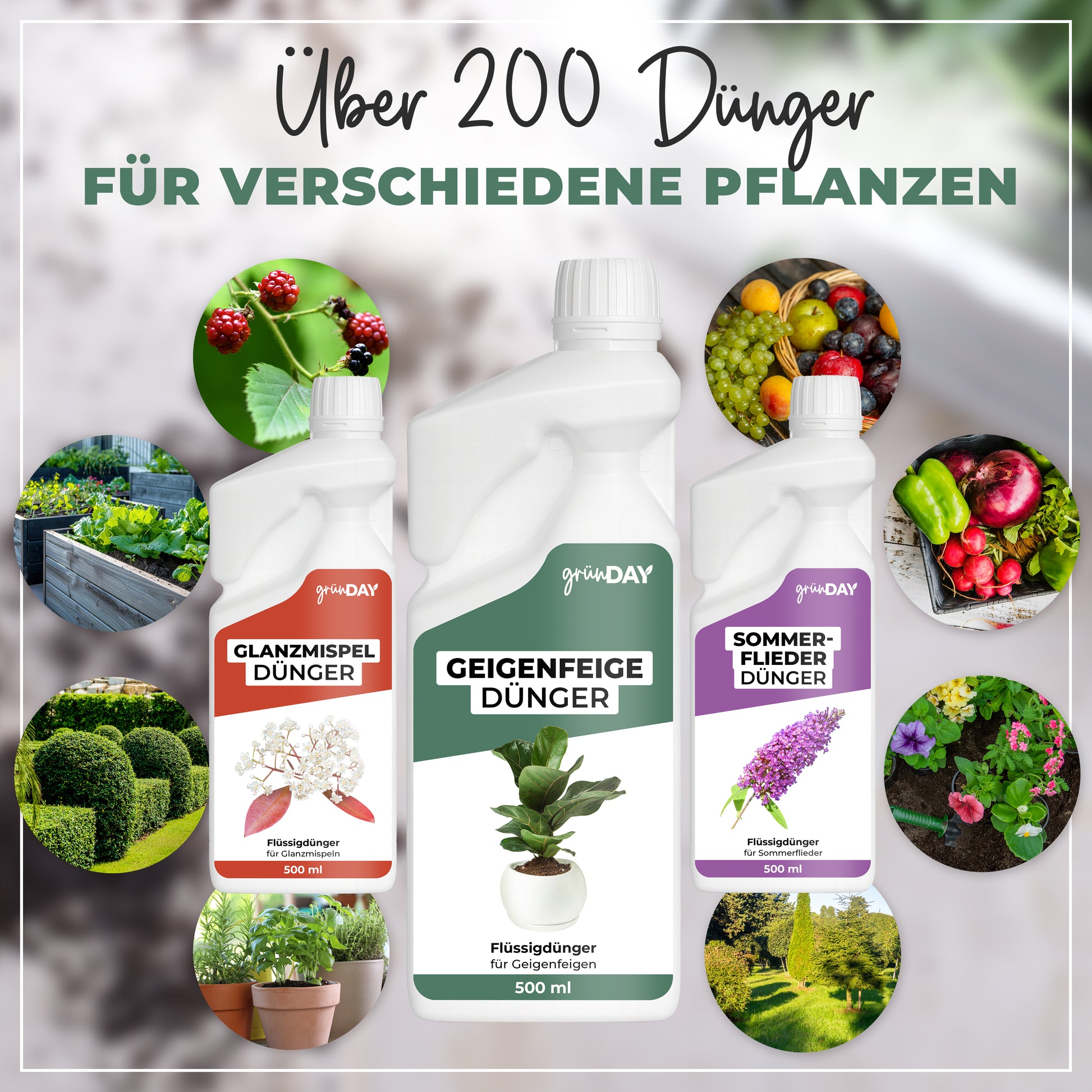 Gründay Geigenfeige Dünger – Produktansicht 7