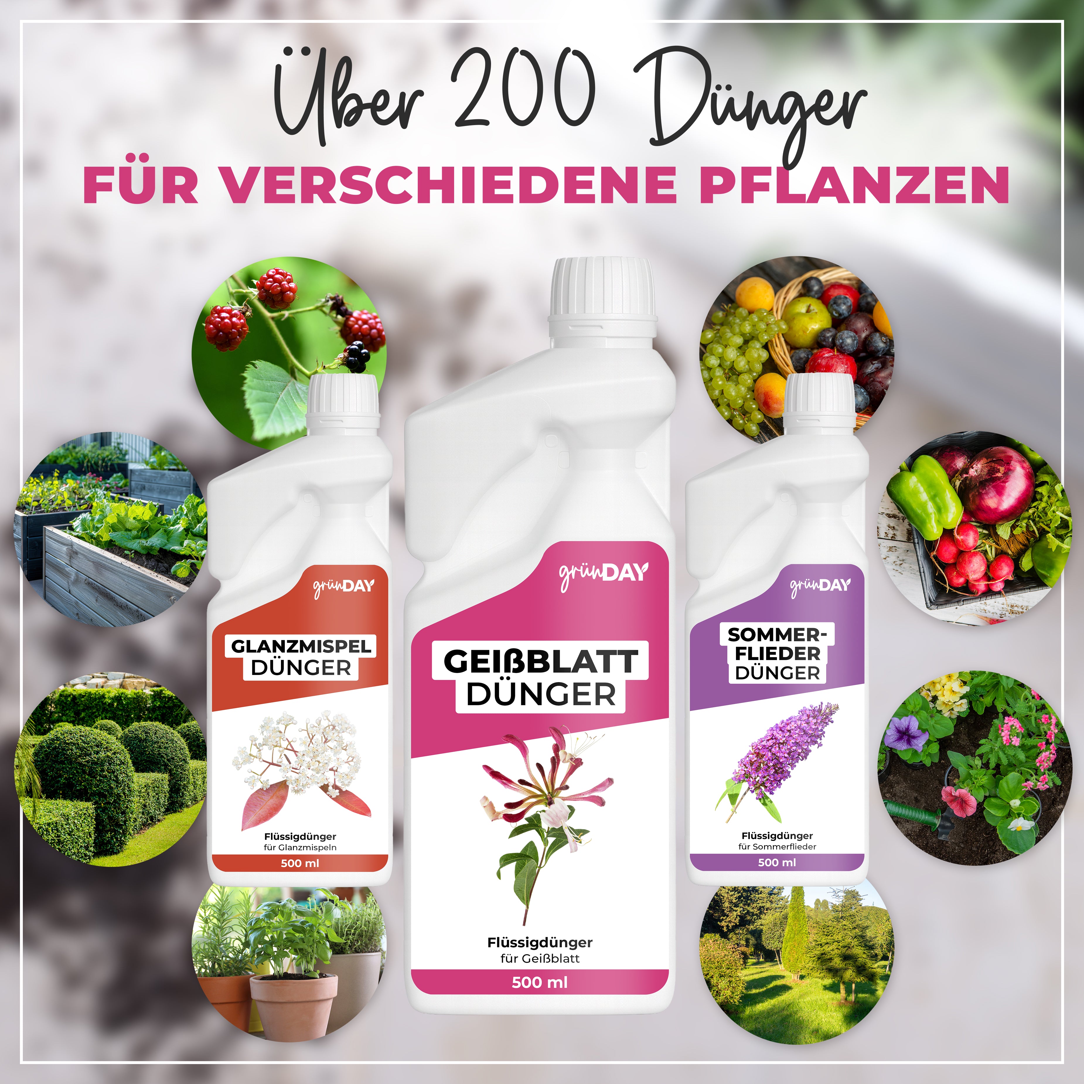 Gründay Geißblatt Dünger – Produktansicht 7