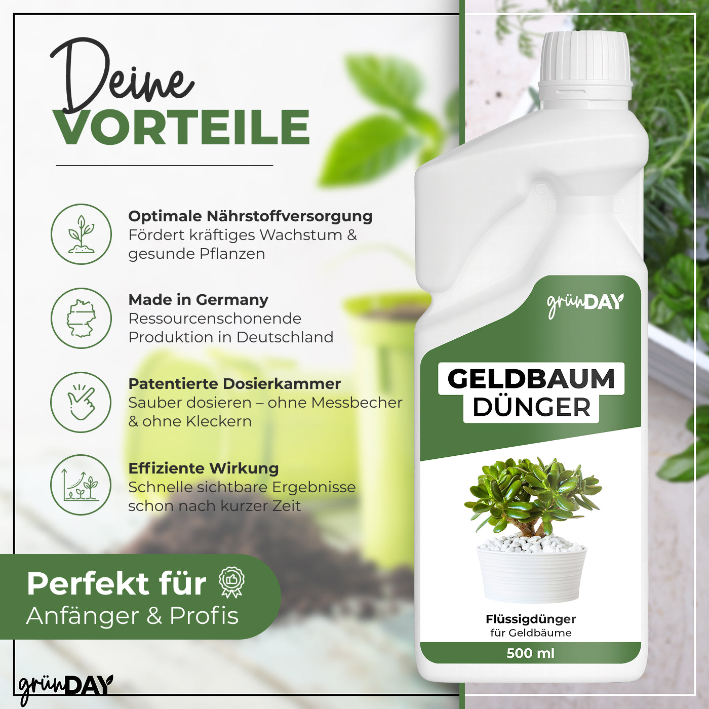 Gründay Geldbaumdünger – Produktansicht 2