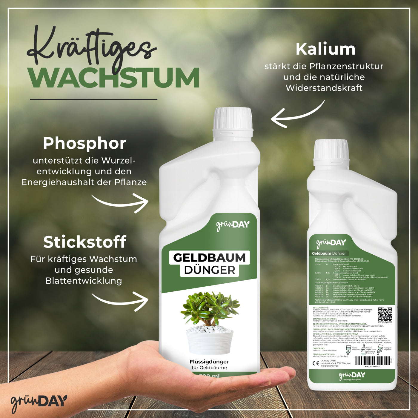 Gründay Geldbaumdünger – Produktansicht 4