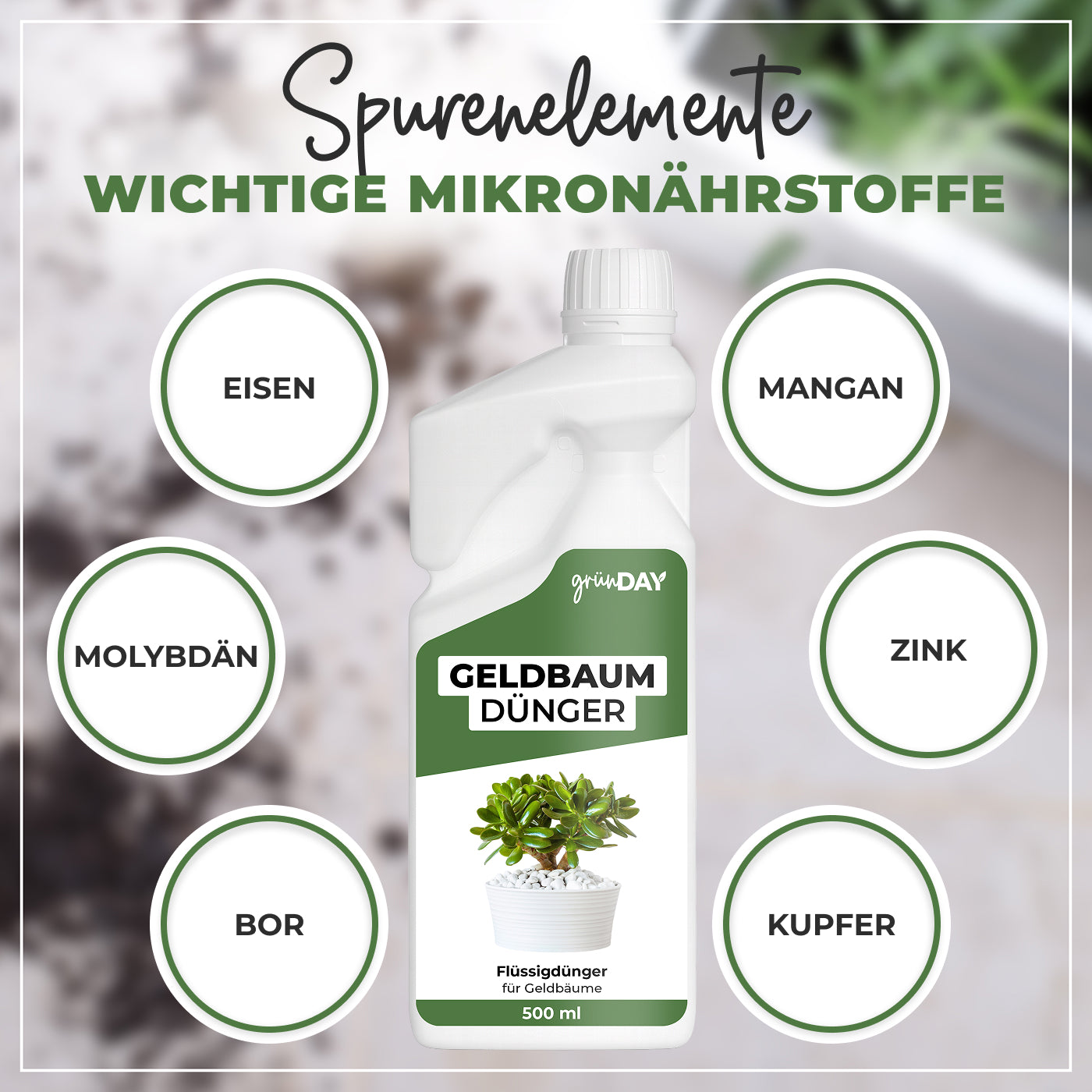 Gründay Geldbaumdünger – Produktansicht 5