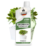 Gründay Geldbaumdünger – Produktbild
