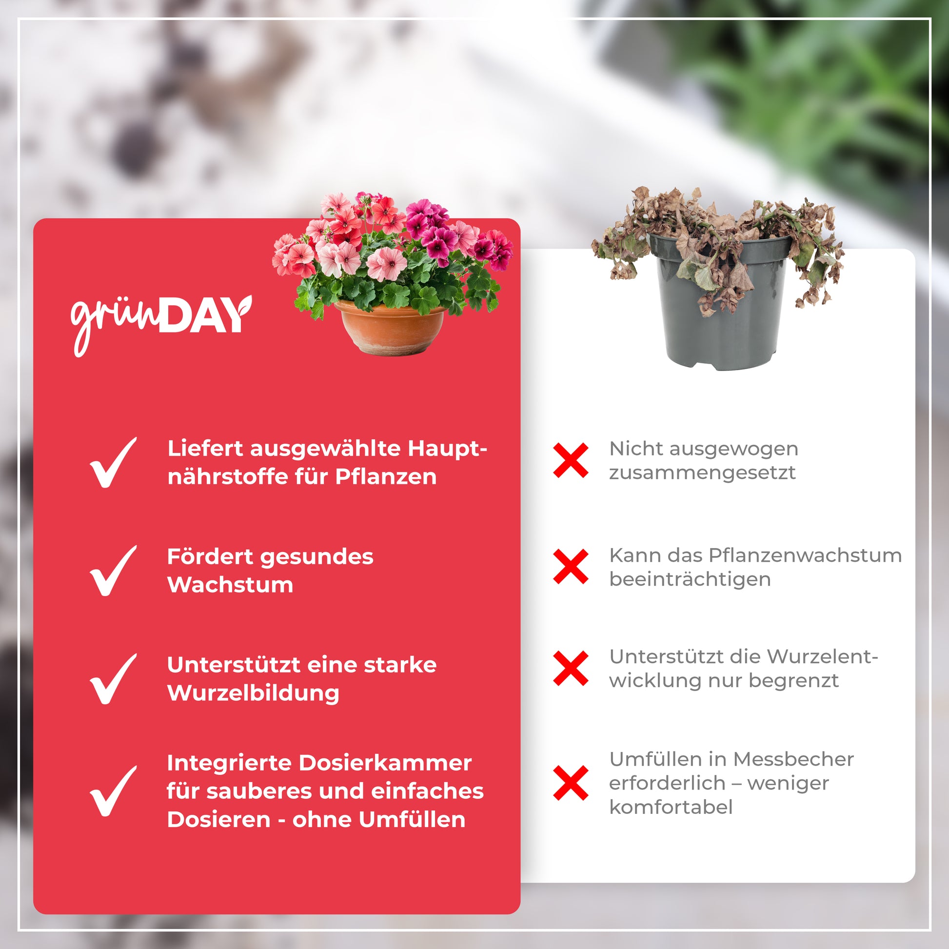 Gründay Geraniendünger – Produktansicht 6