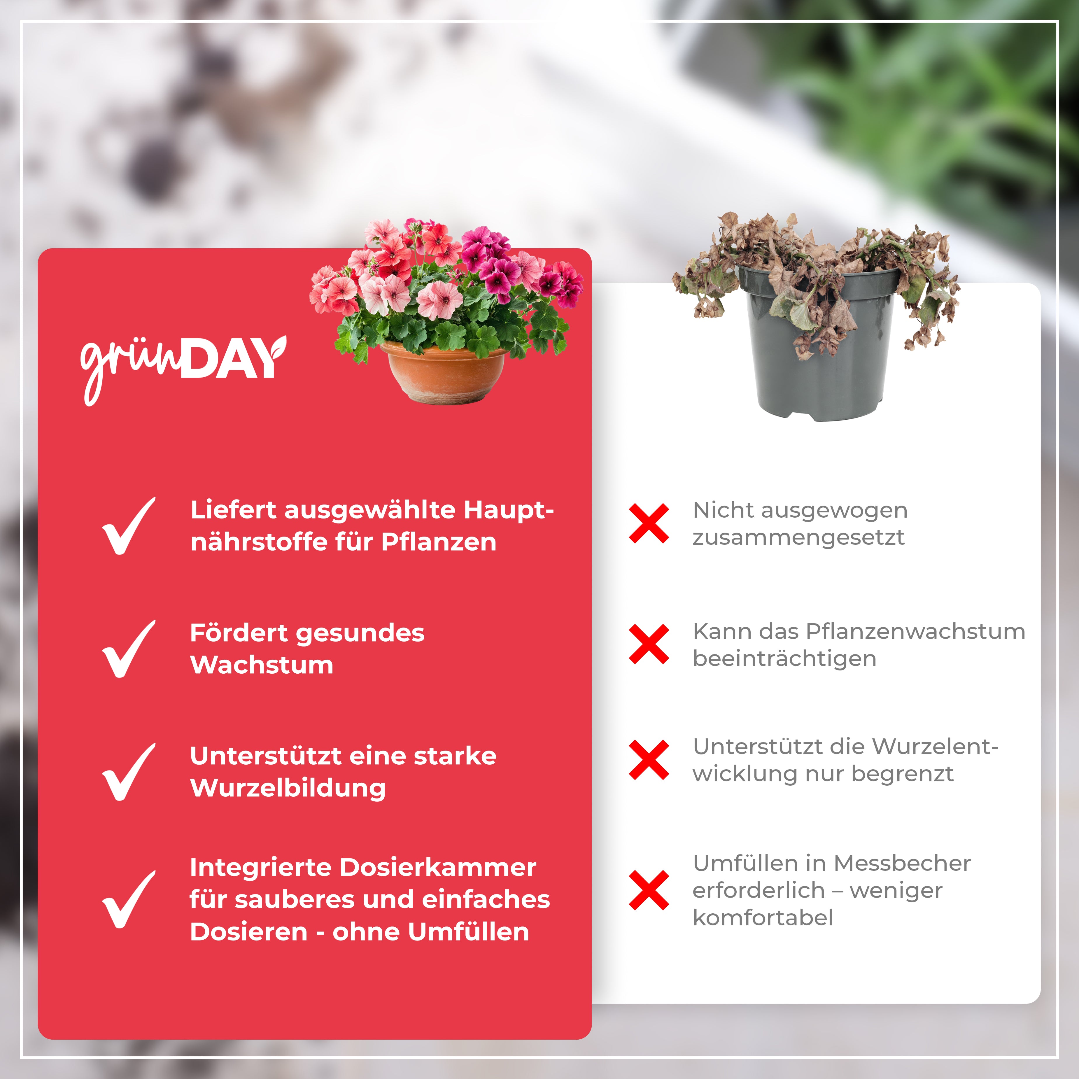 Gründay Geraniendünger – Produktansicht 6