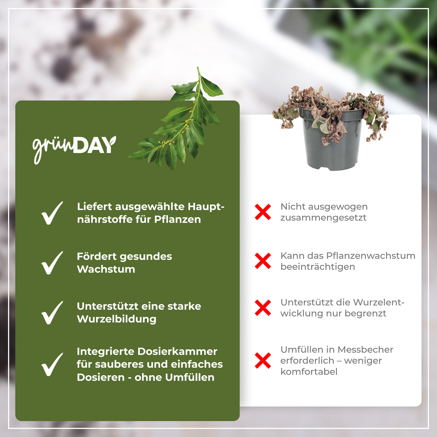 Gründay Gewürzlorbeerdünger – Produktansicht 6