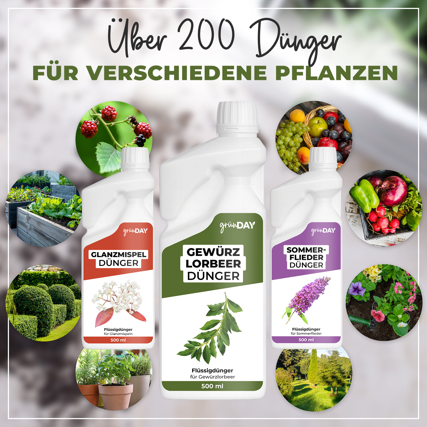 Gründay Gewürzlorbeerdünger – Produktansicht 7