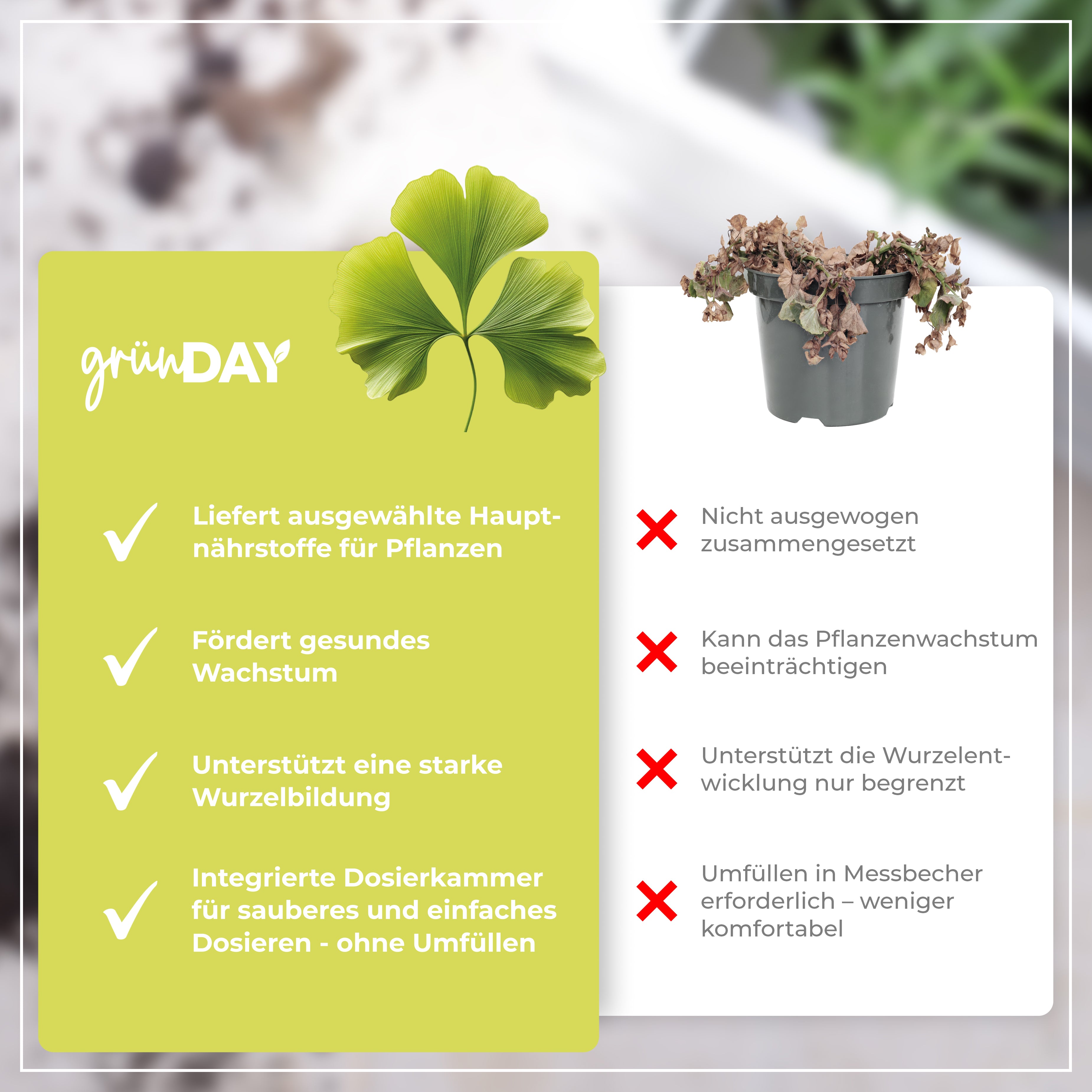 Gründay Ginkgo Dünger – Produktansicht 6
