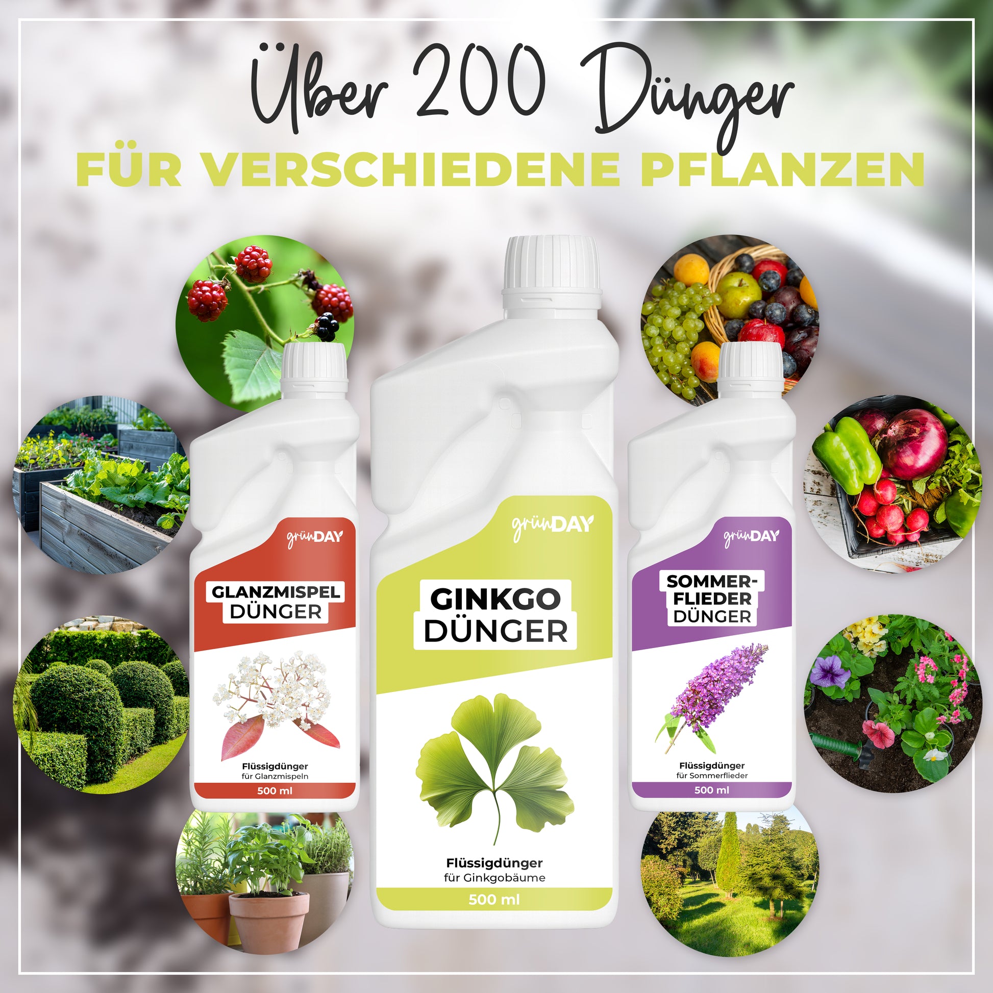 Gründay Ginkgo Dünger – Produktansicht 7